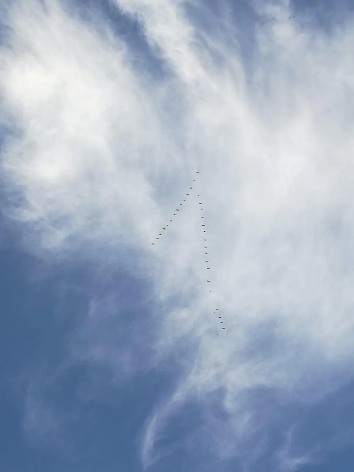 Balcony/Terrace in Mediterranea Guesthouse B&B