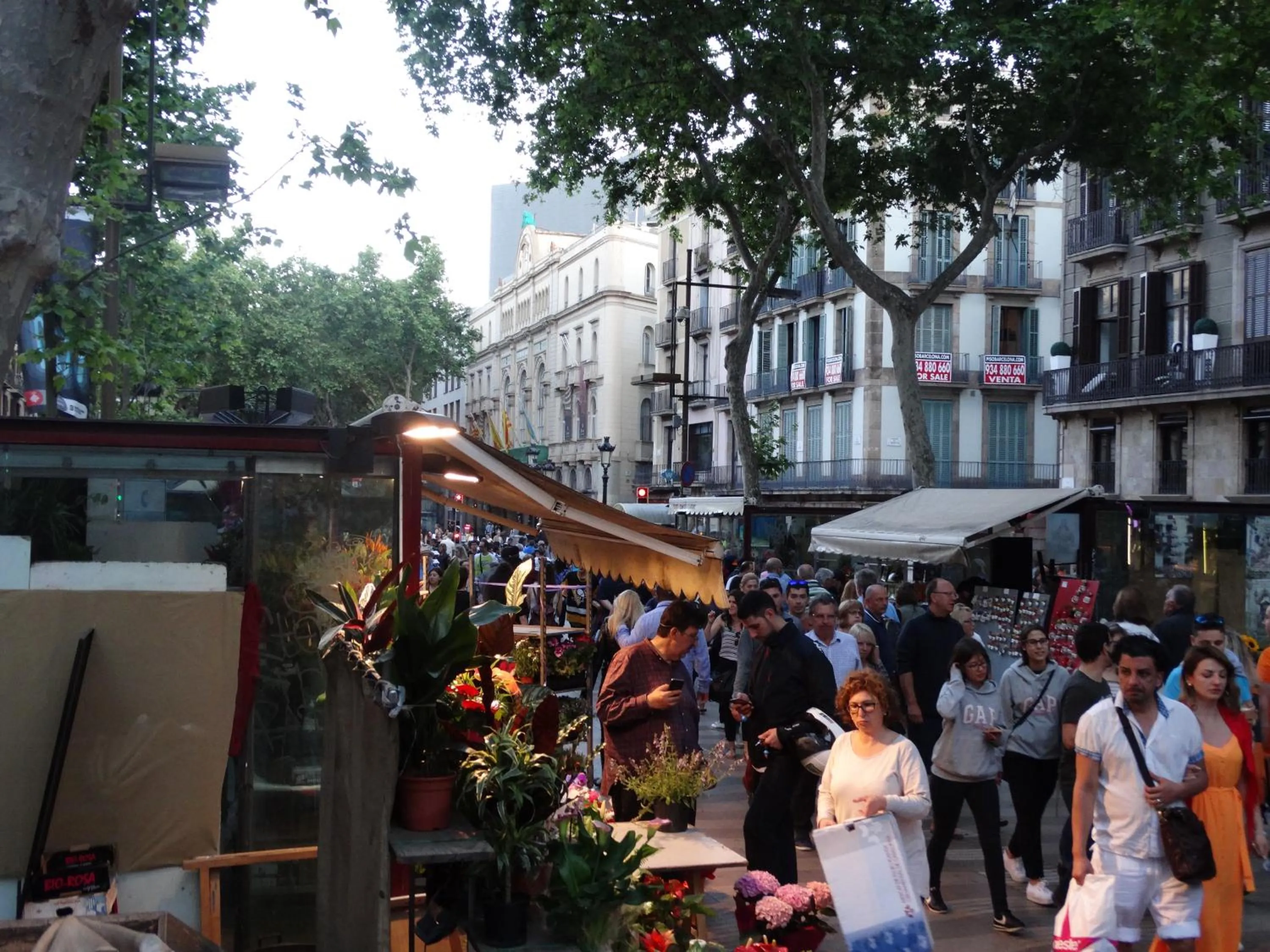 Street view in Hostal Mont Thabor