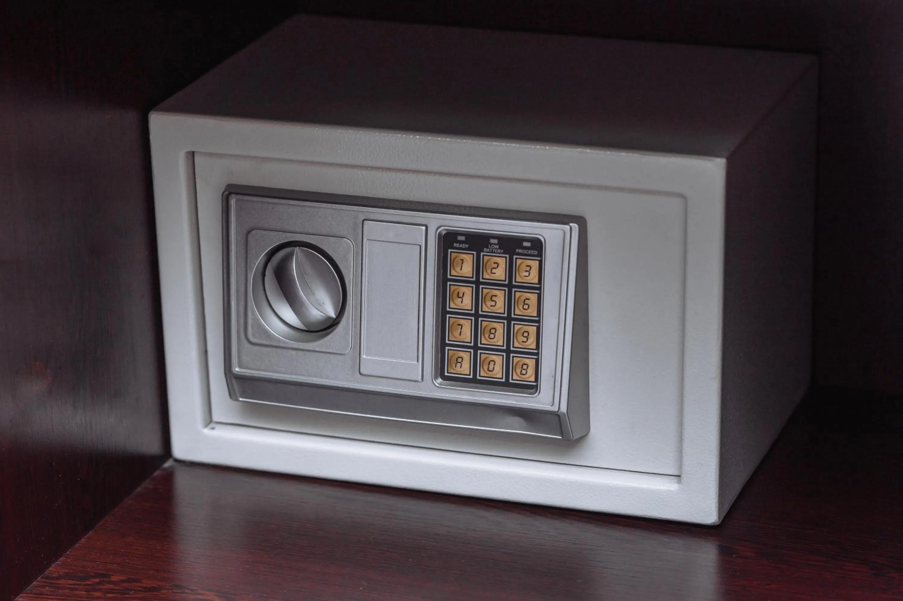 safe in Daniel Hill Hotel