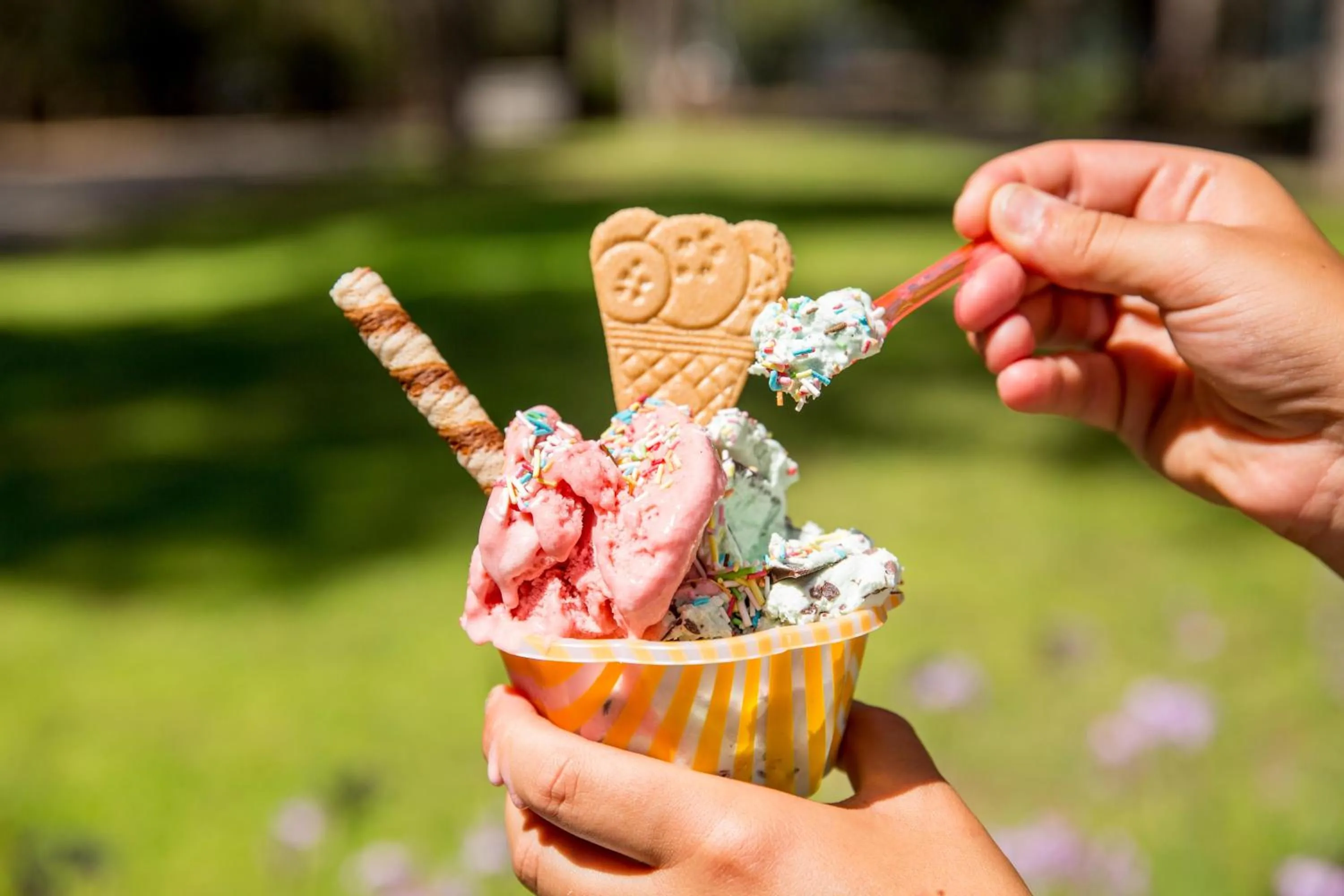 Lounge or bar in Gitavillage Le Marze