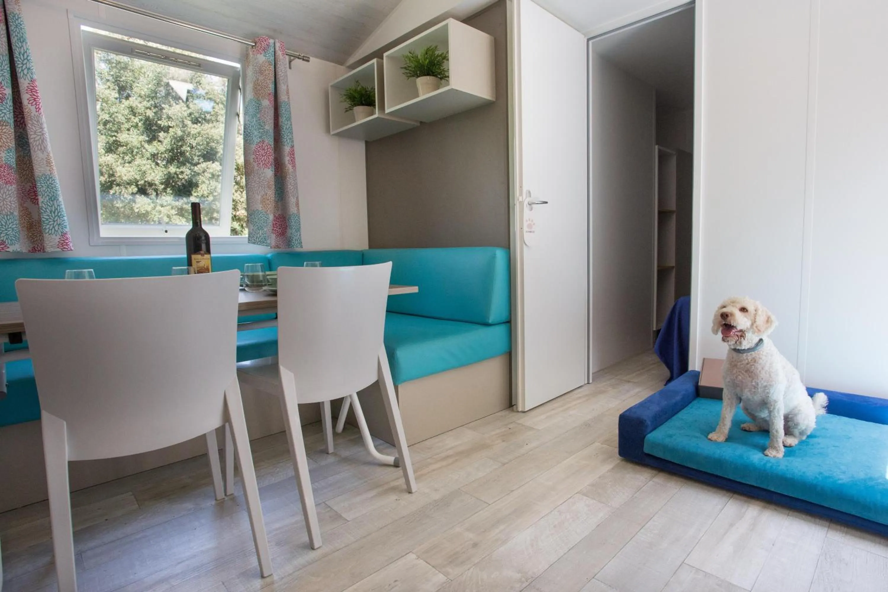 Photo of the whole room in Gitavillage Le Marze