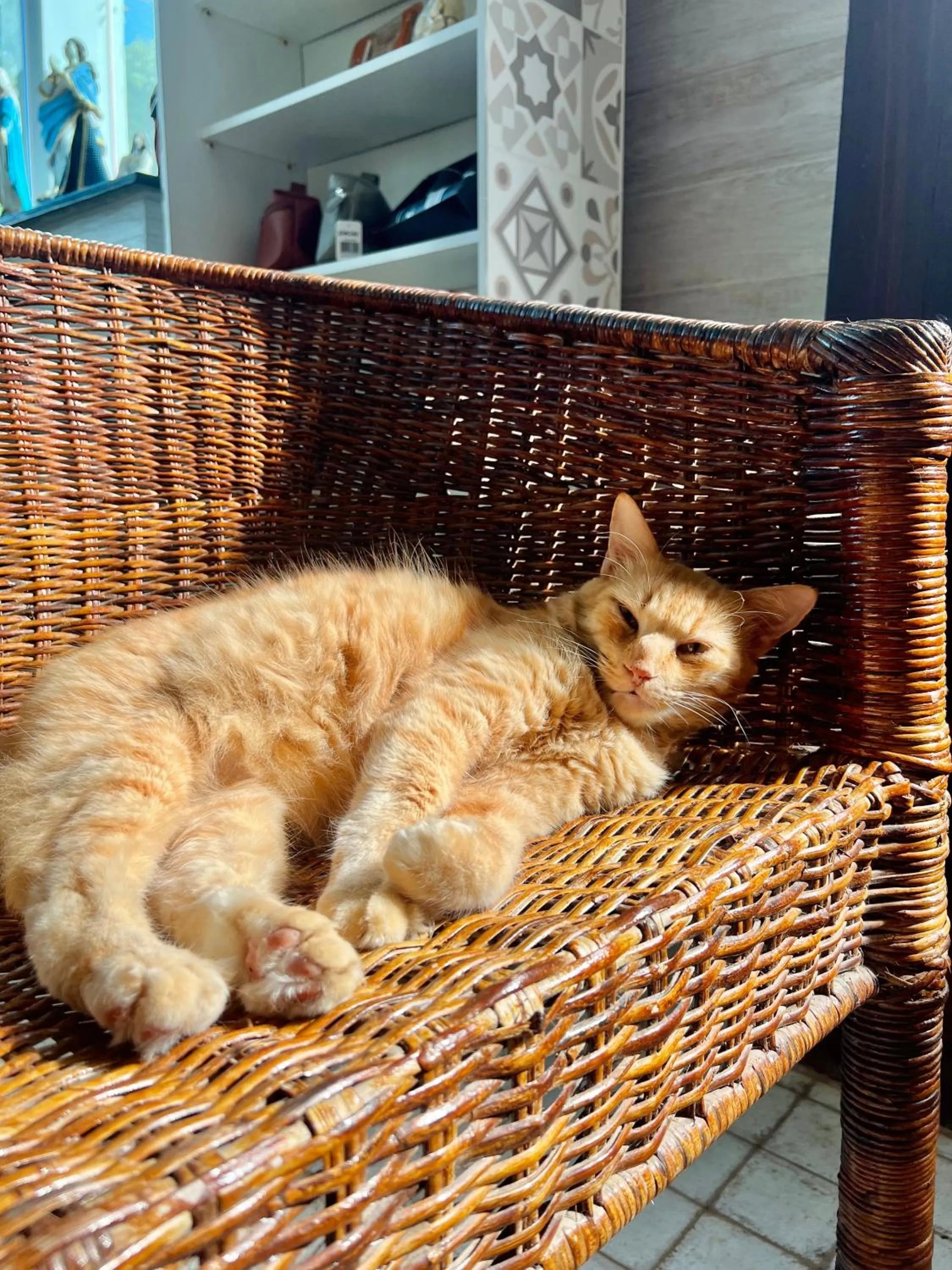 Pousada Costa Tropical