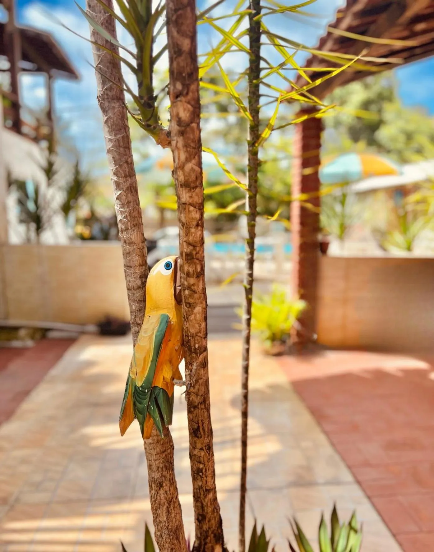 Pousada Costa Tropical