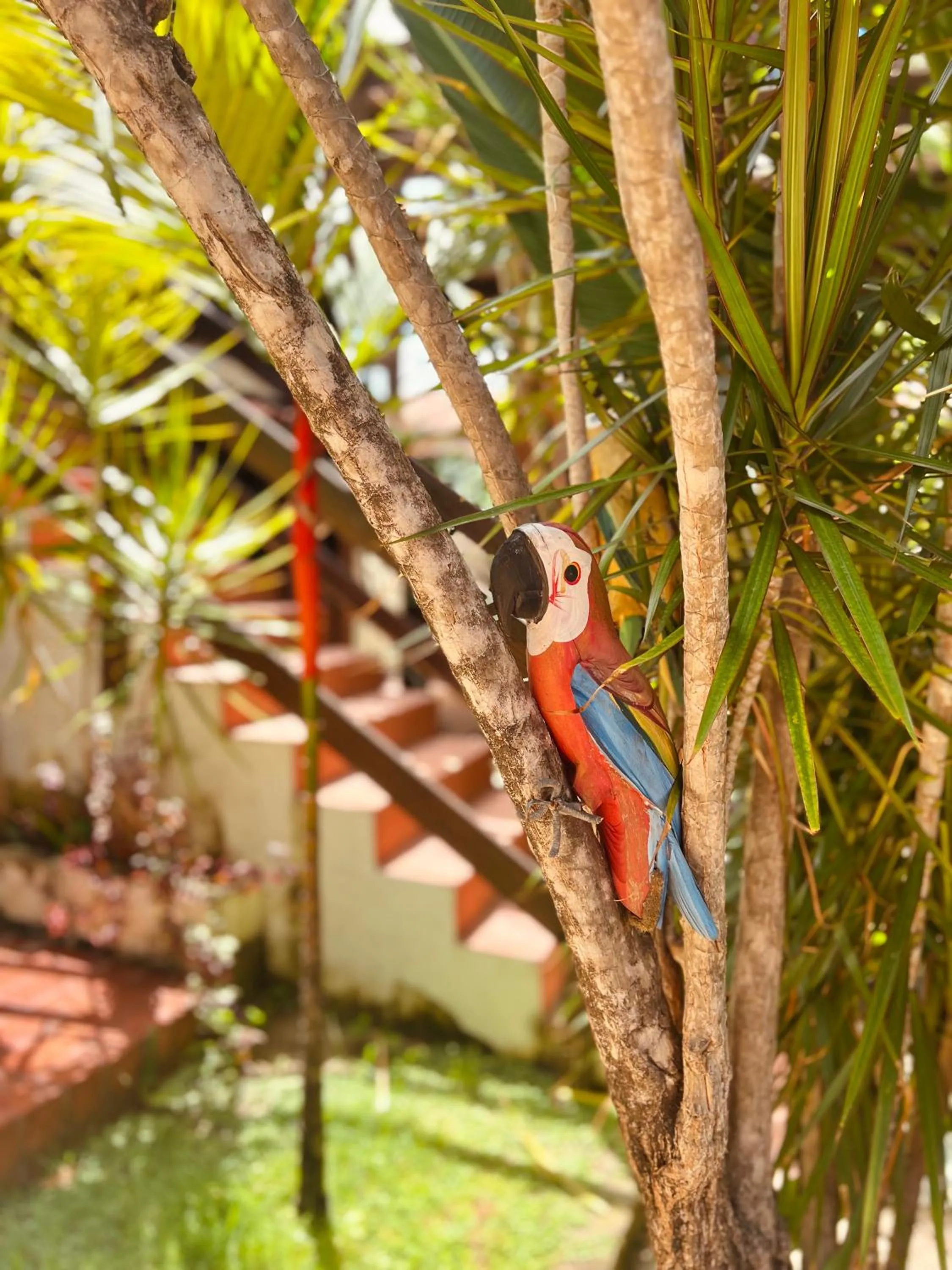 Pousada Costa Tropical