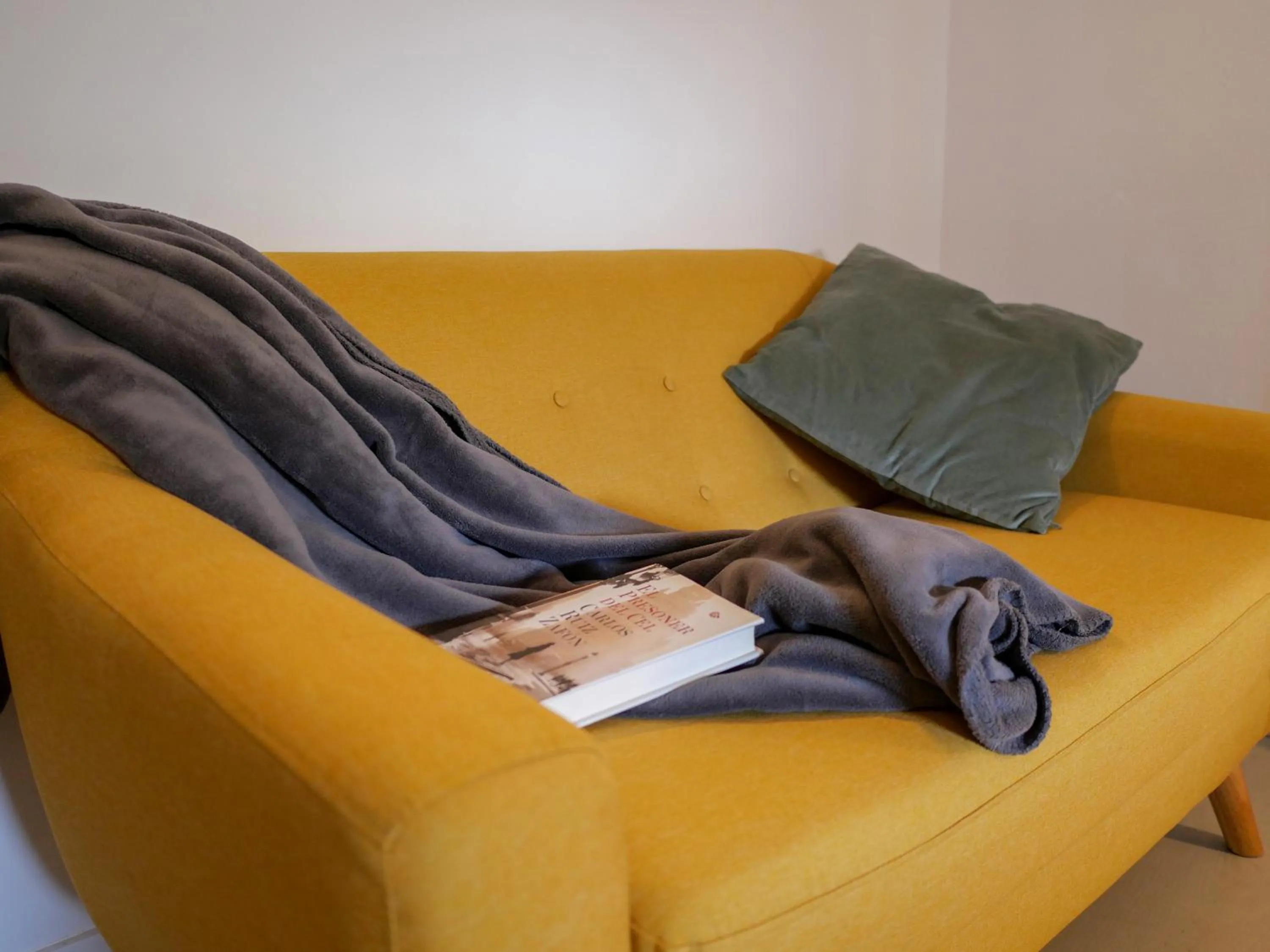Seating area in Luxury Apartment Stancesvic