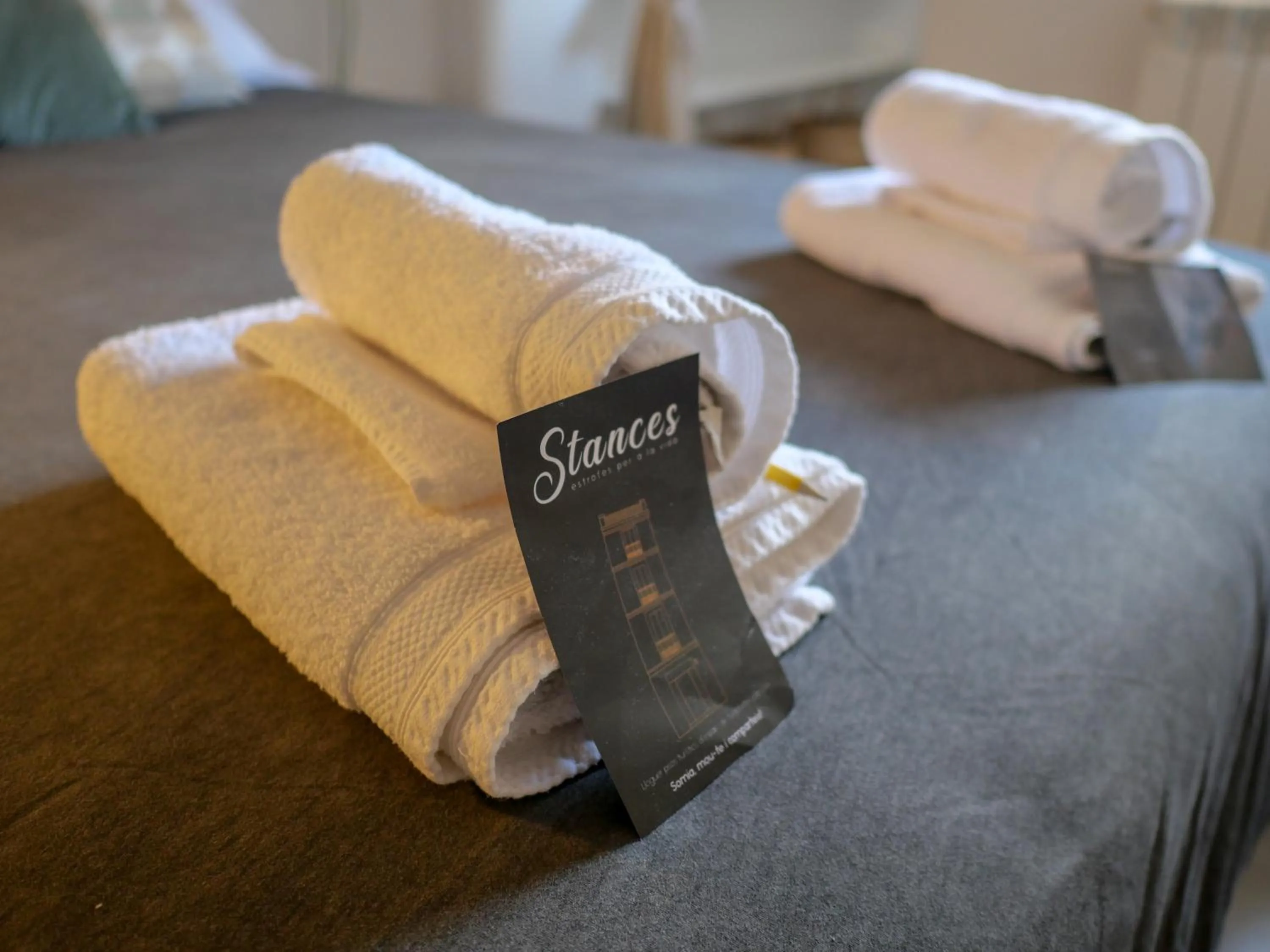 Decorative detail, Bed in Luxury Apartment Stancesvic