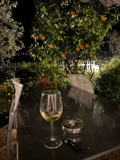 Villa Treccani Apartments