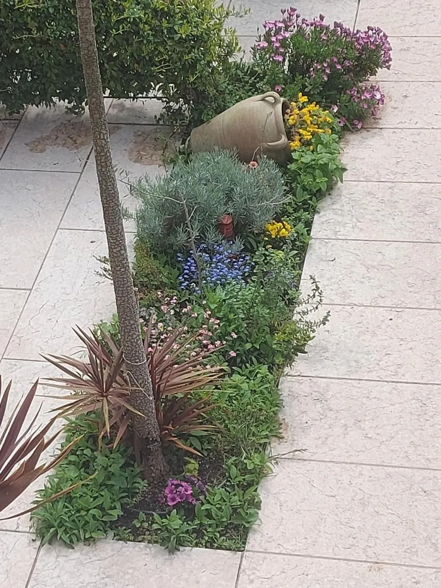 Villa Treccani Apartments