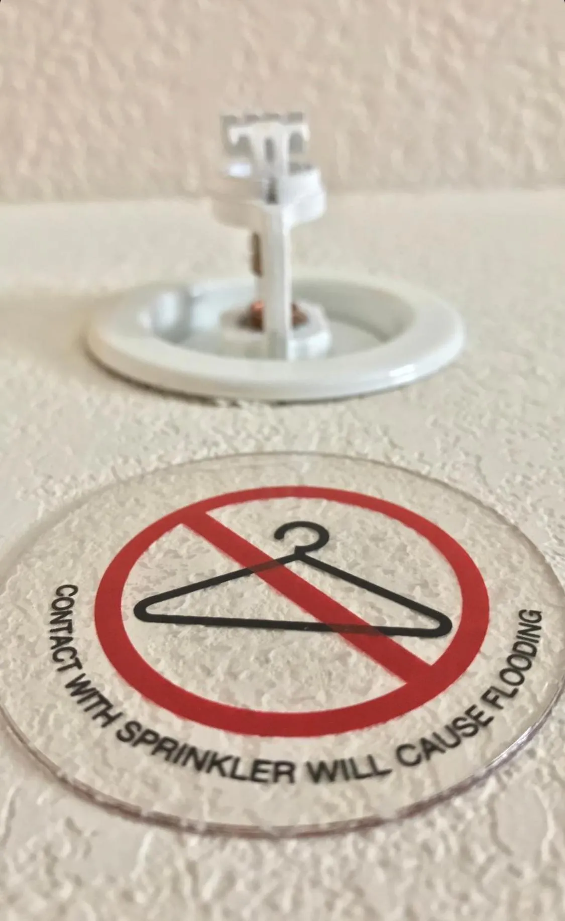 NEW 2026-Ocean Sands Beach Boutique Inn-Sauna and Salt-Mineral Pool -Free Beach Bikes and Famous Beach- Fresh Baked Cookies and Popcorn - Bathrobes and Sunscreen in all rooms-Ultra Sparkling-Free Laundry- 4 Grand Black Beds-Call NOW & Save-1-252-AHA-SAND