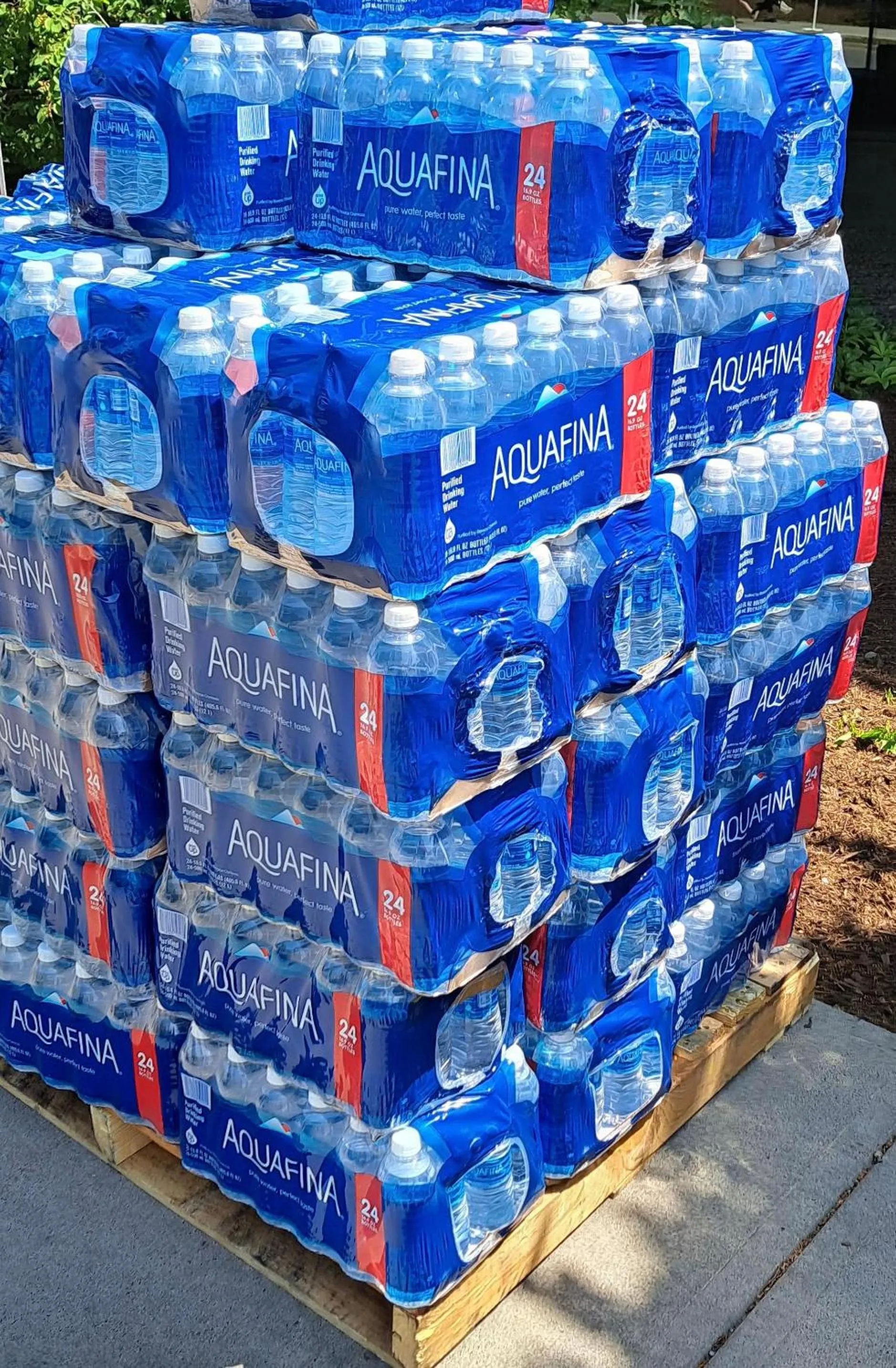 NEW 2026-Ocean Sands Beach Boutique Inn-Sauna and Salt-Mineral Pool -Free Beach Bikes and Famous Beach- Fresh Baked Cookies and Popcorn - Bathrobes and Sunscreen in all rooms-Ultra Sparkling-Free Laundry- 4 Grand Black Beds-Call NOW & Save-1-252-AHA-SAND