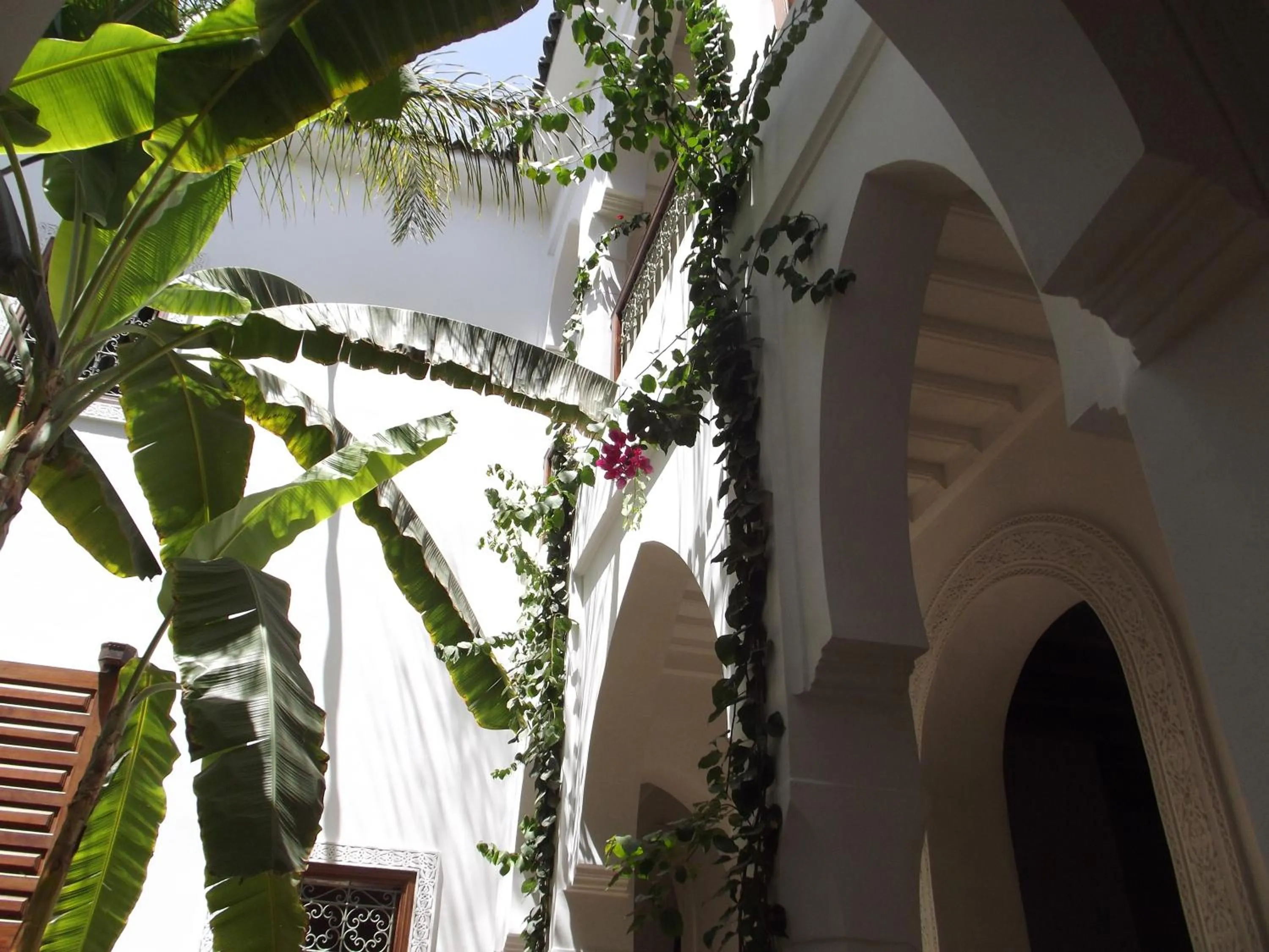 Lounge or bar in Riad Les Bougainvilliers