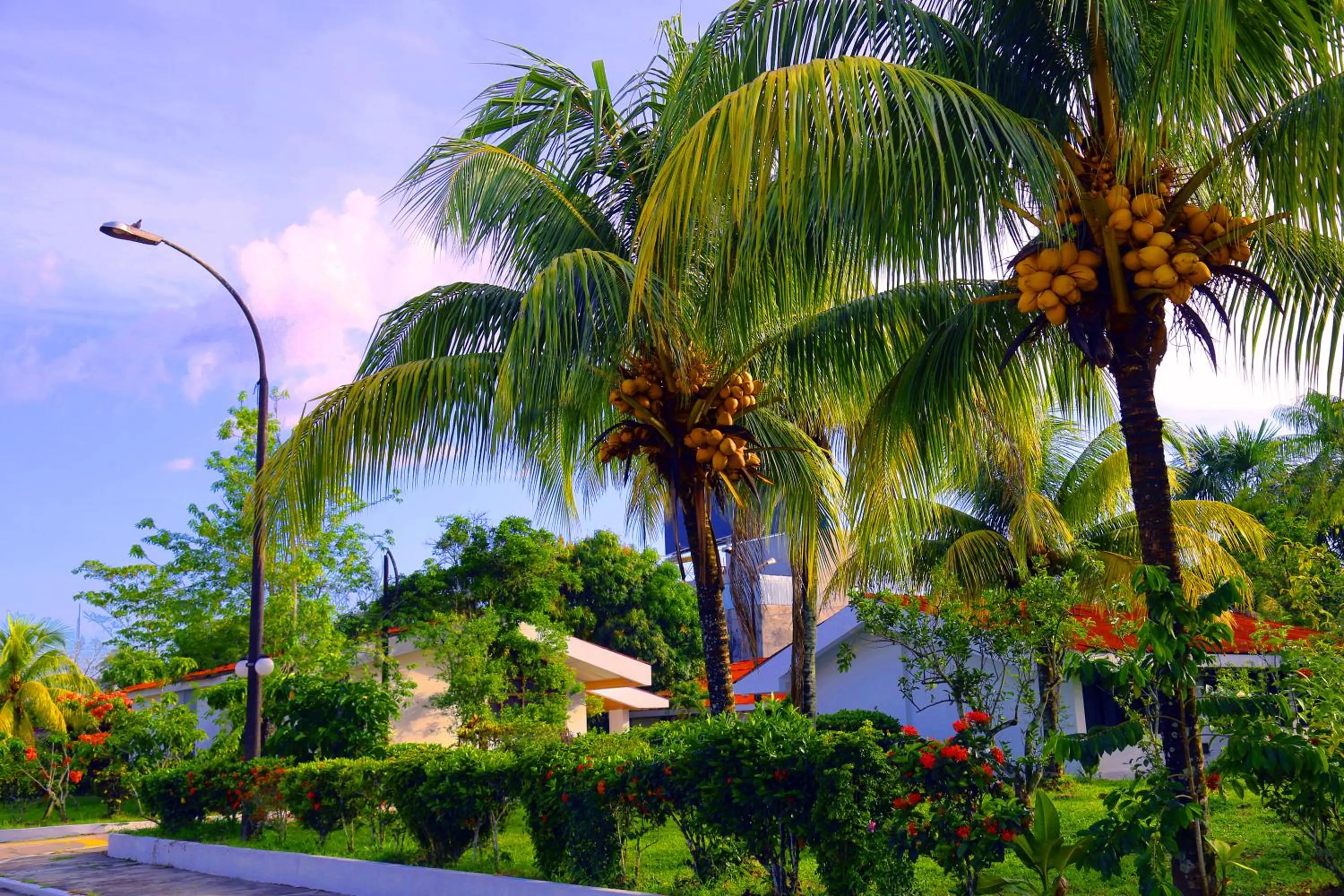 Natural landscape in Hotel Sol del Oriente Iquitos