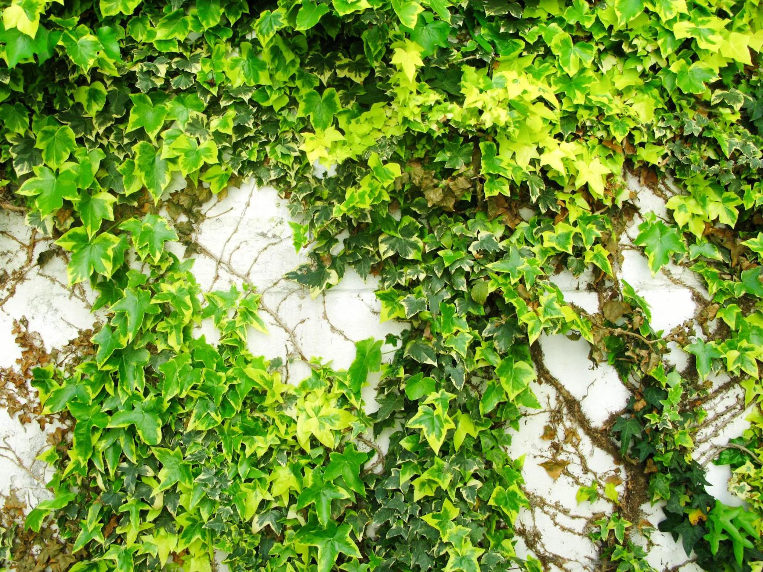 Facade/entrance in Hotel Trash Deluxe