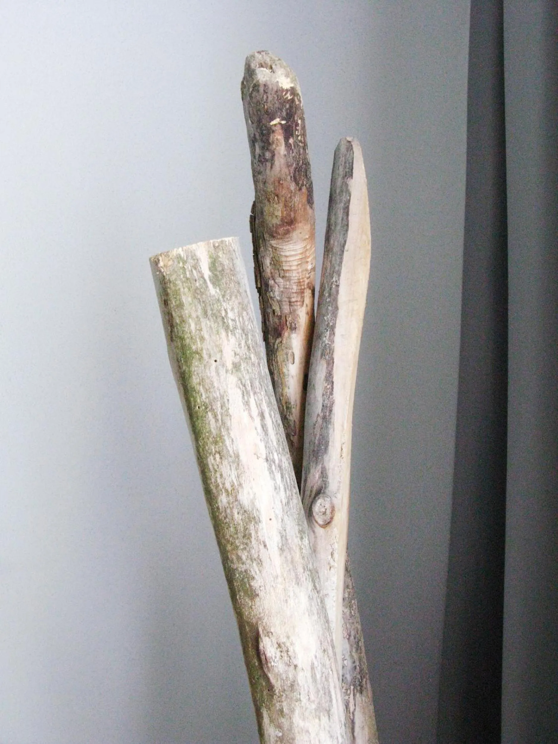 Photo of the whole room in Hotel Trash Deluxe