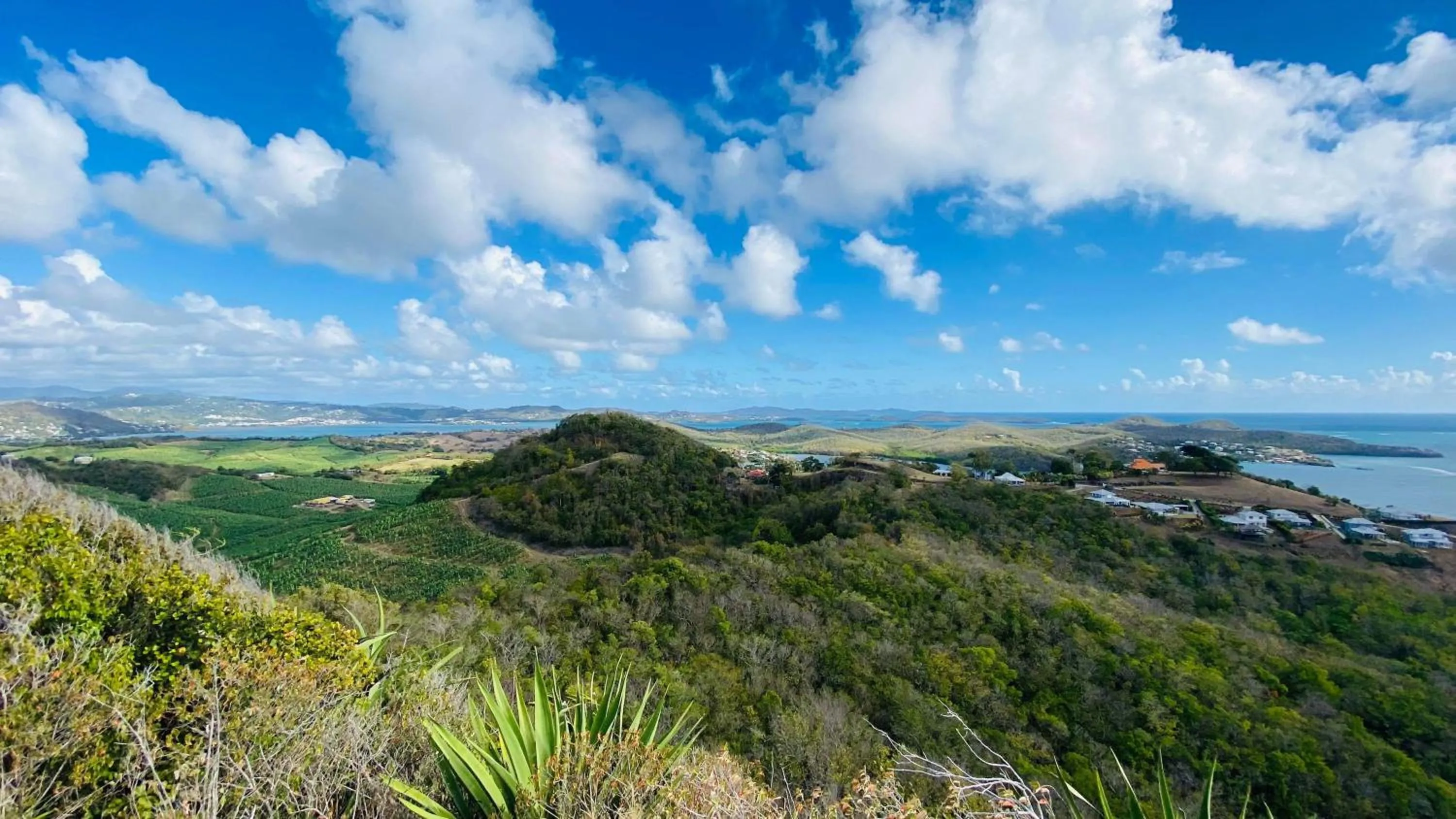 Hiking in Villa Clémence