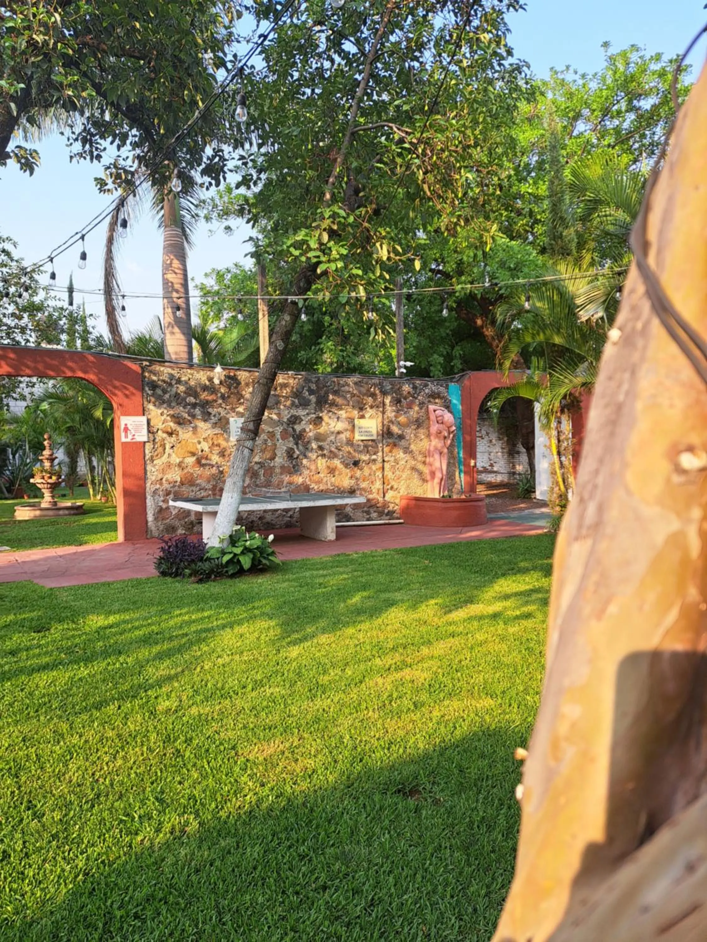 Garden in Hotel Quinta Paraiso