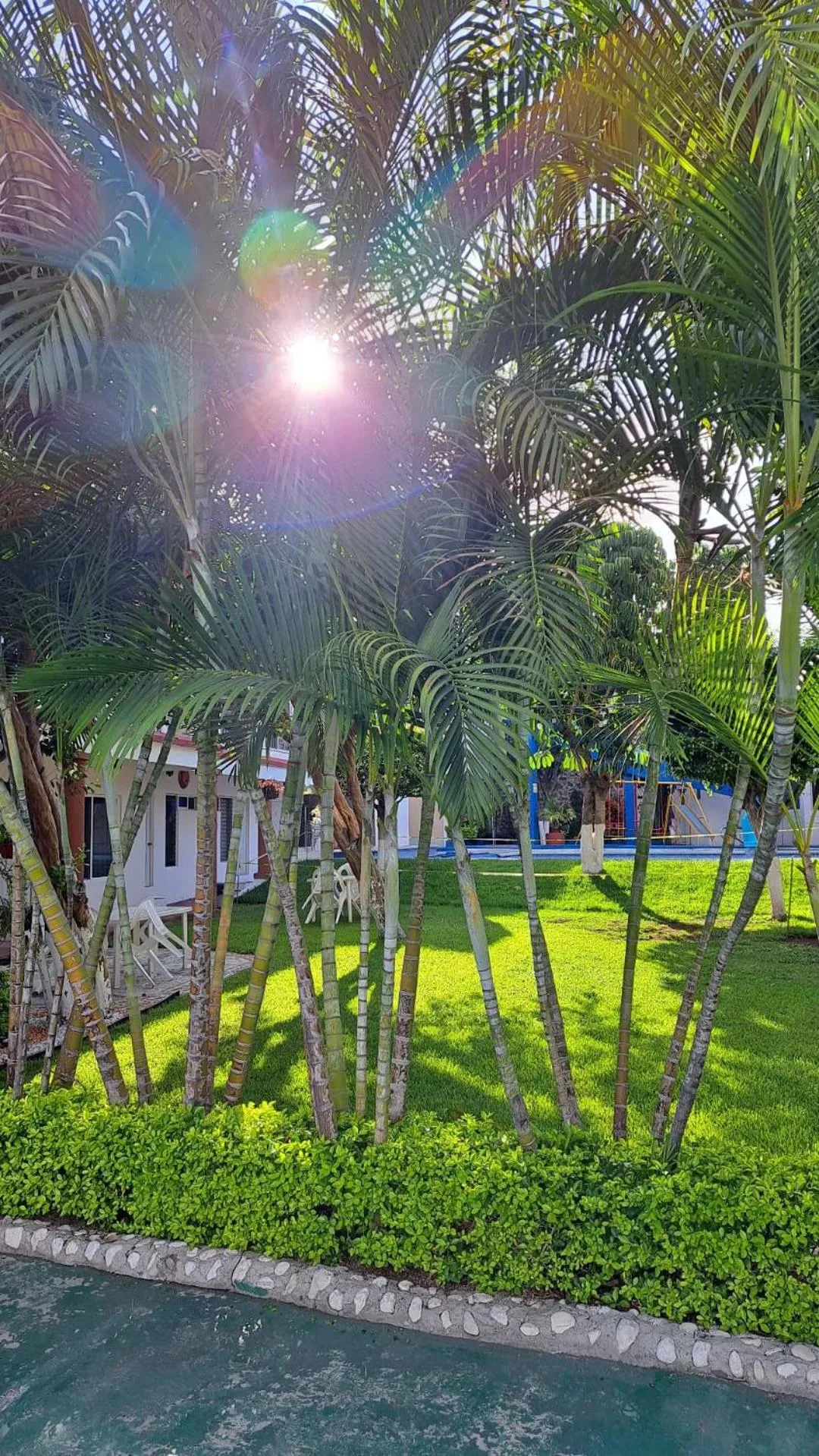 Hotel Quinta Paraiso