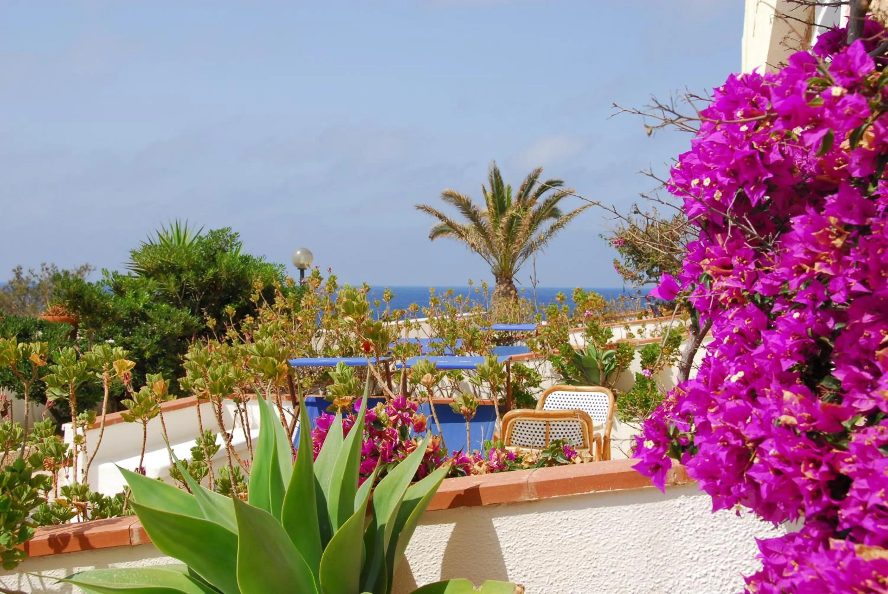 Garden in Hotel Guitgia Tommasino