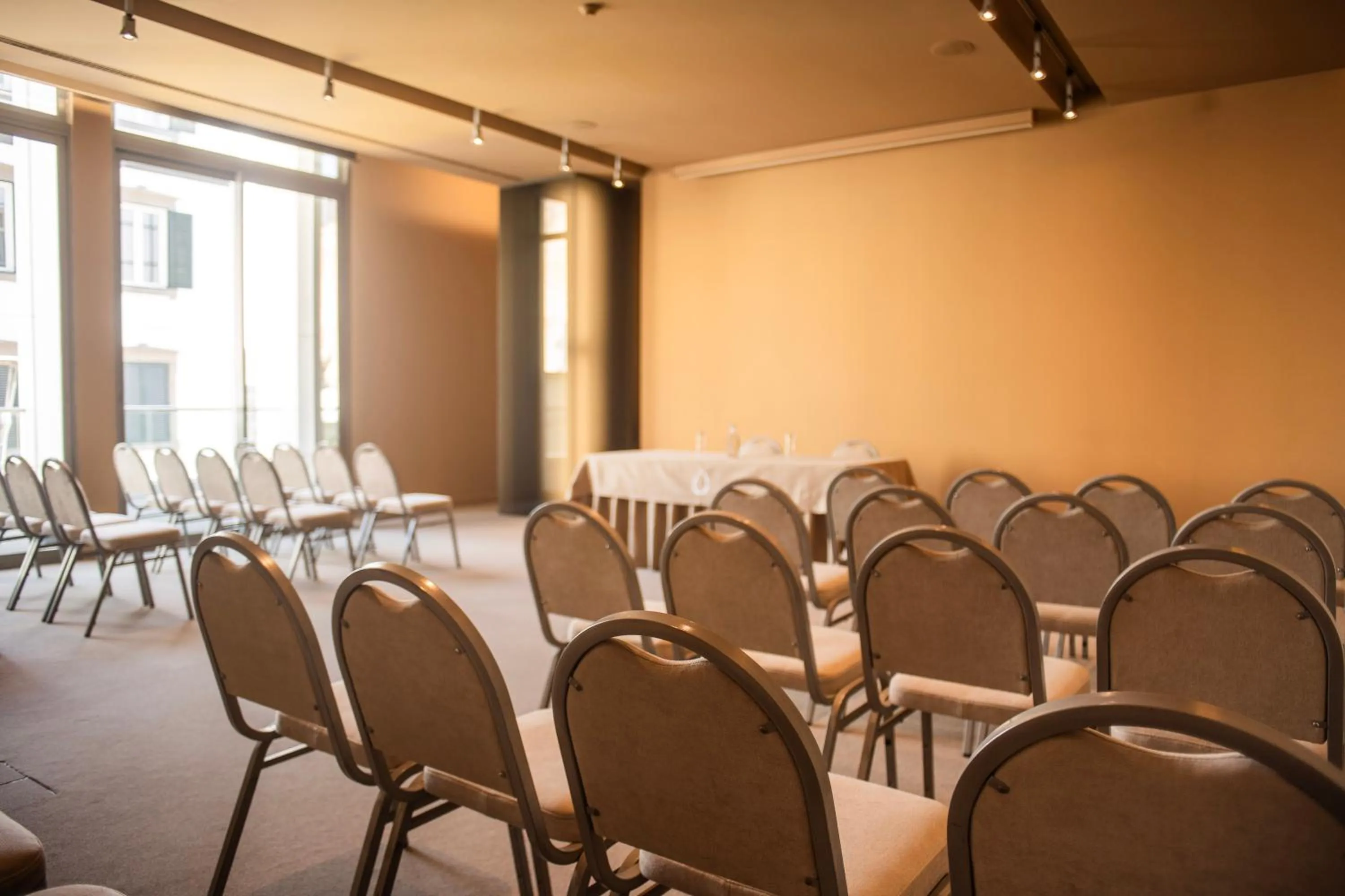 Meeting/conference room in The Vine Hotel