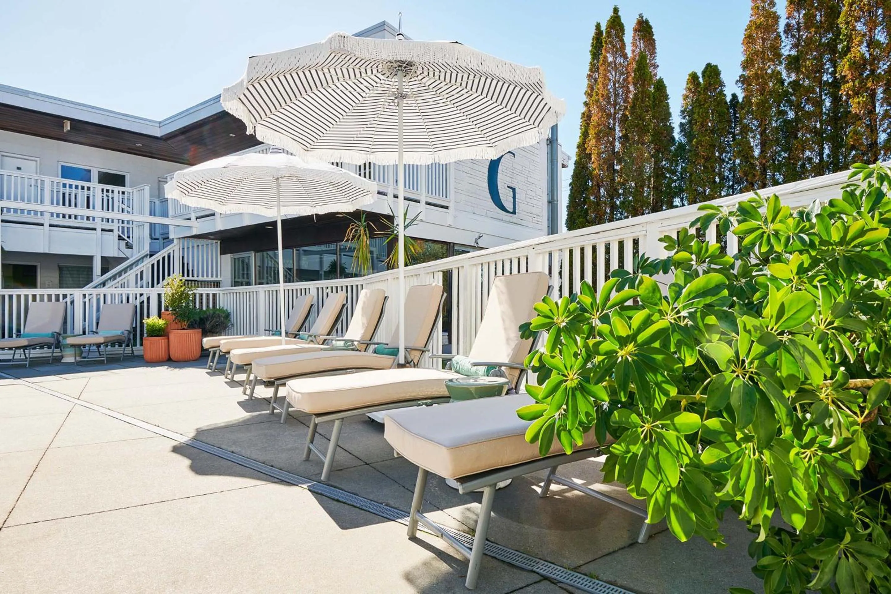 sunbed in Greenporter Hotel