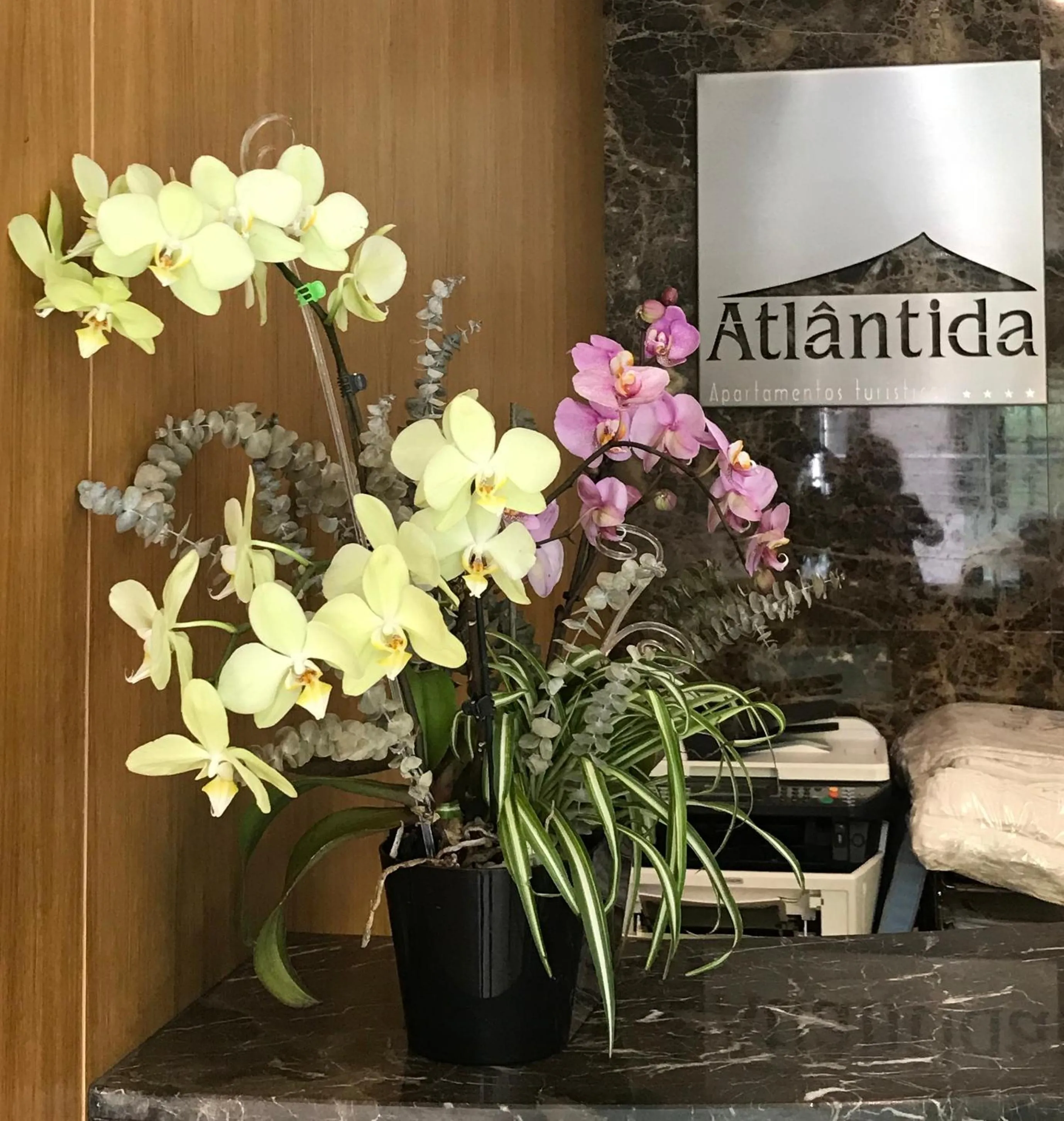 Property logo or sign in Apartamentos Turisticos Atlantida