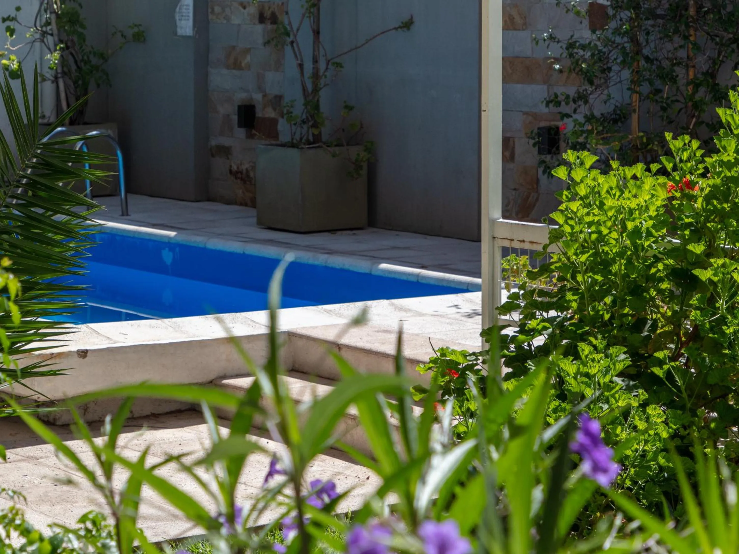 Patio in Paradise Departamentos