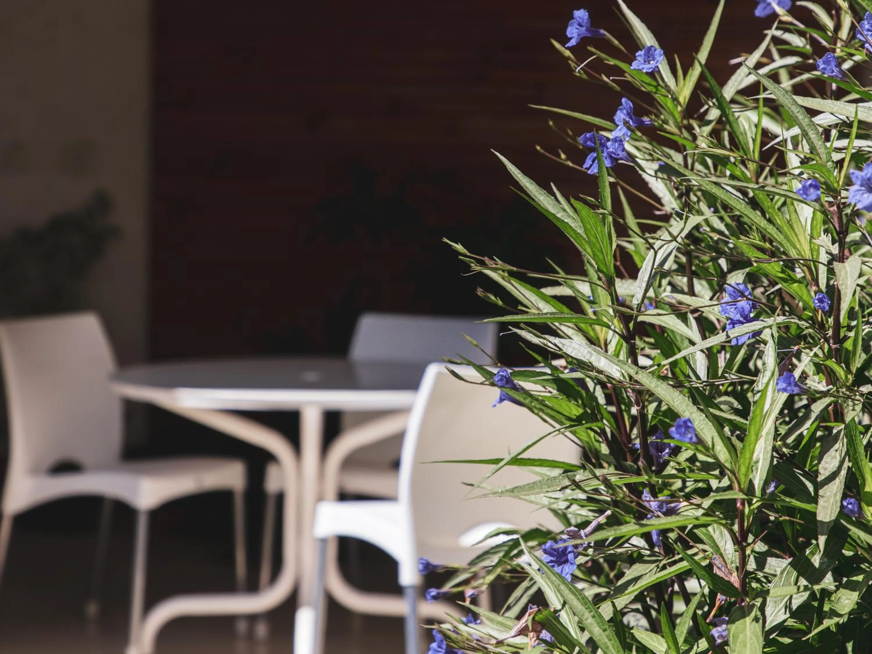 Garden in Paradise Departamentos