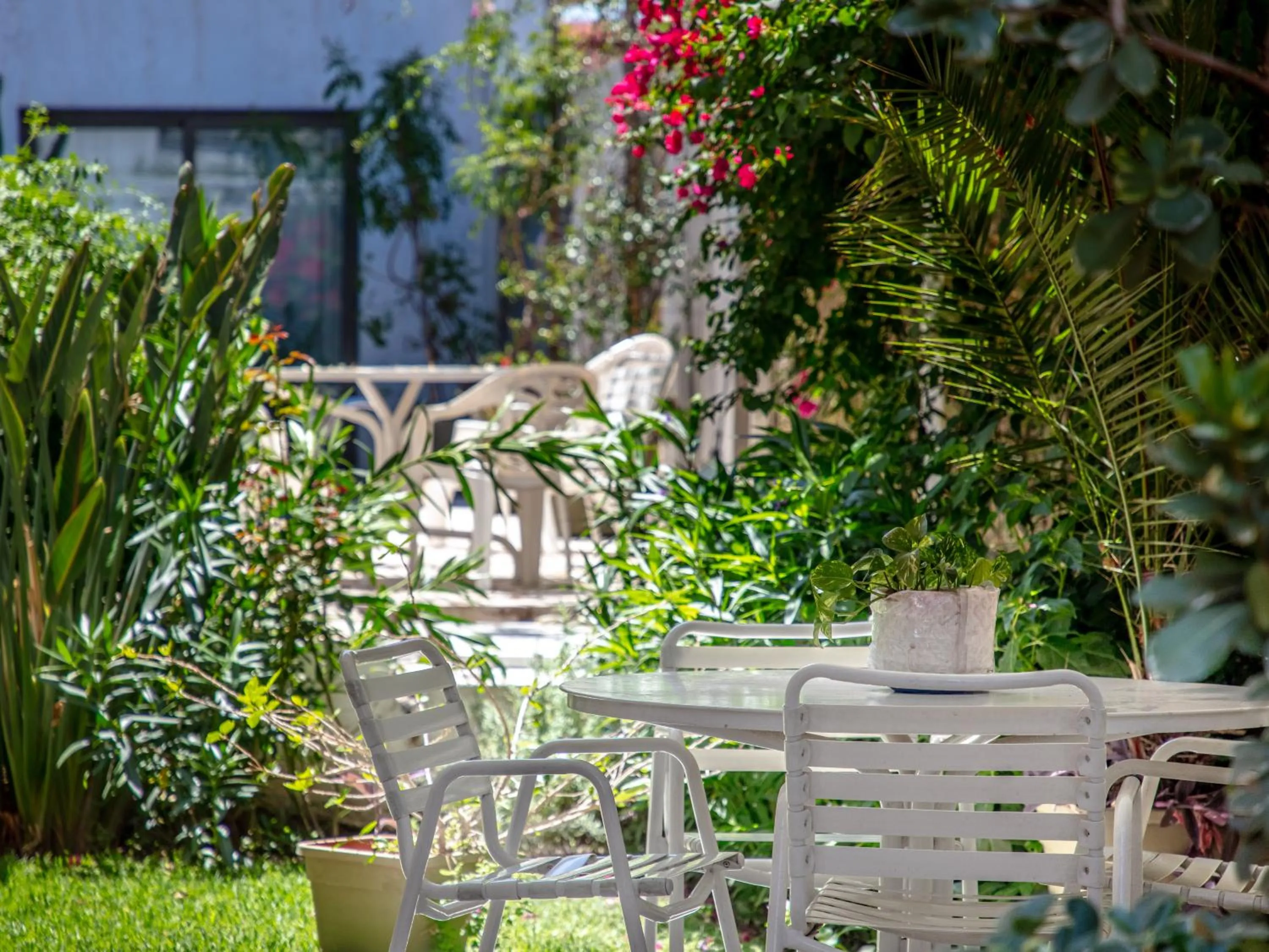 Patio in Paradise Departamentos