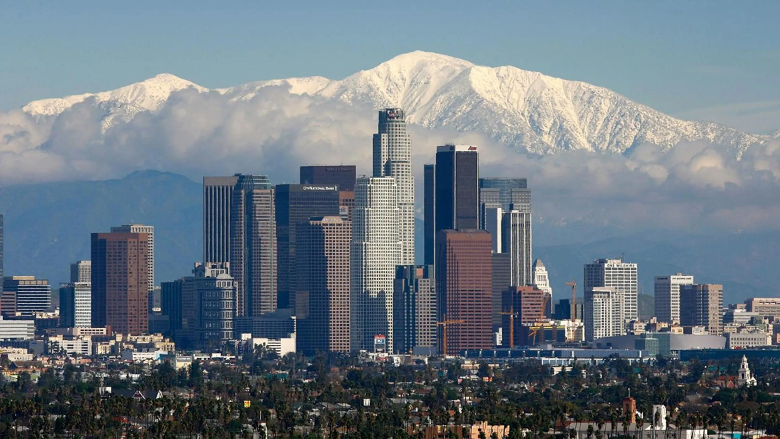 Neighbourhood in Integrity - Real Hollywood Experience