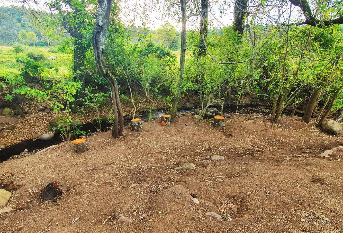 Natural landscape in Senda Monarca