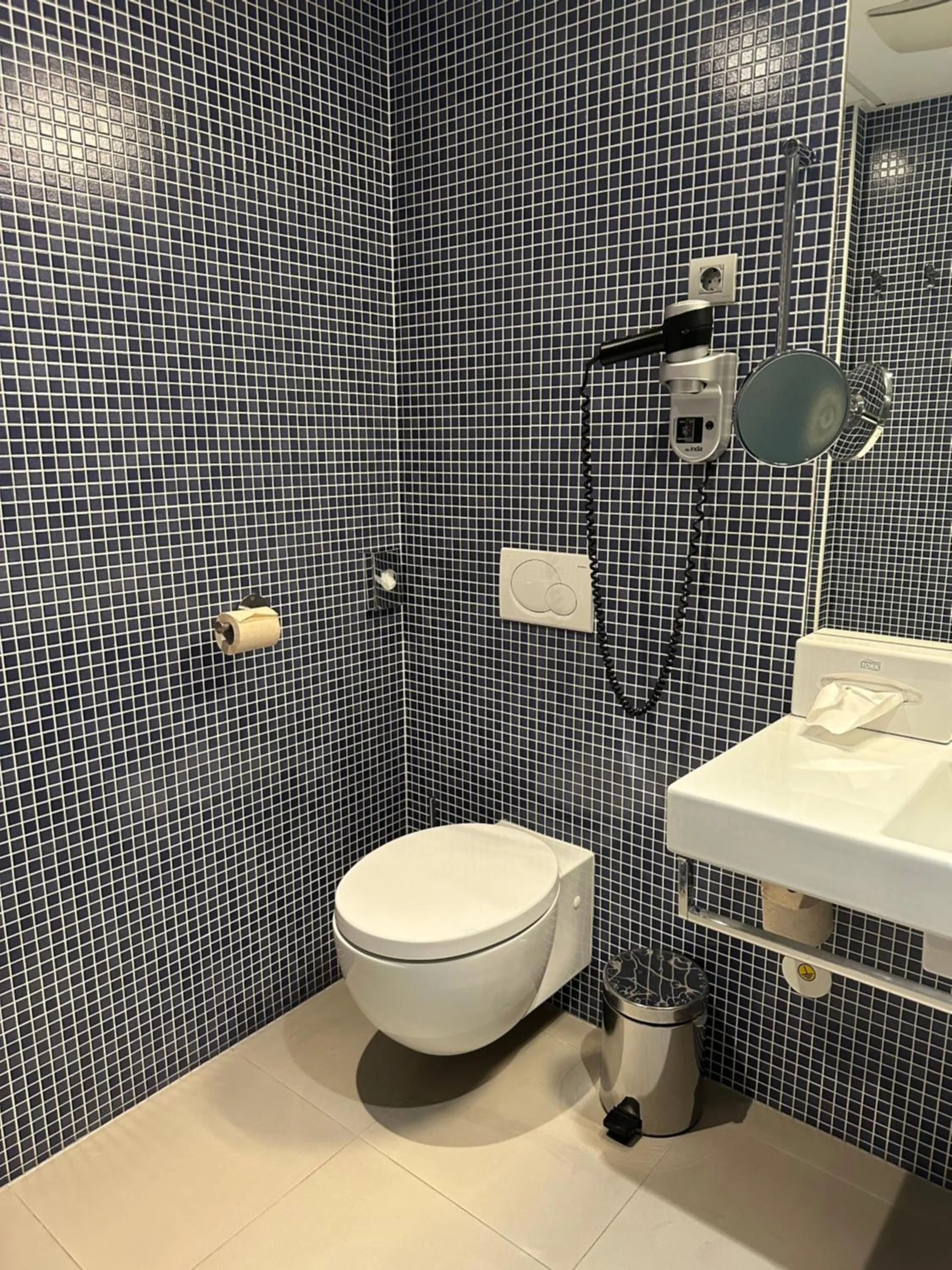 Toilet in Hotel Thermana Park Laško**** Superior