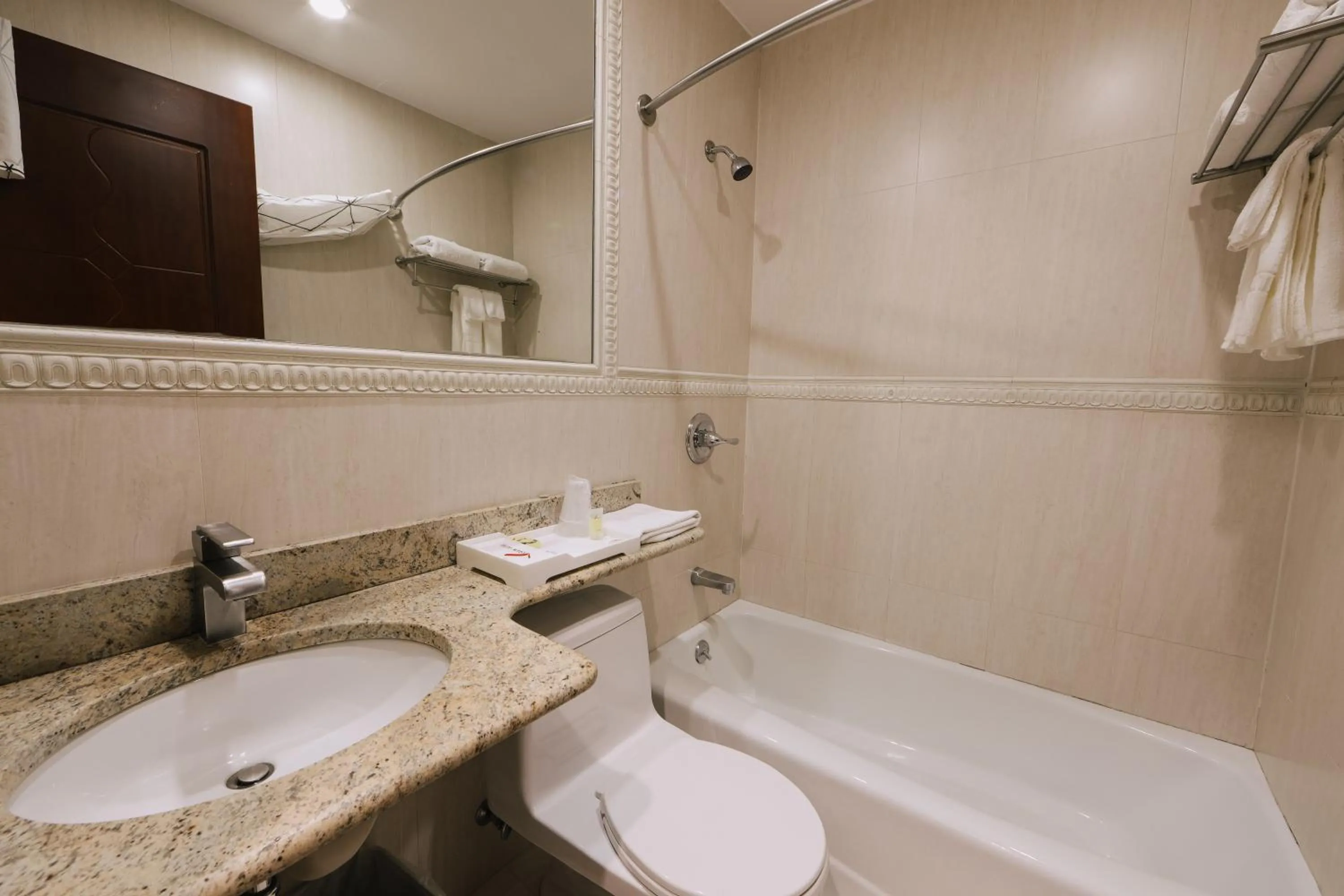 Bathroom in Asiatic Hotel - Flushing