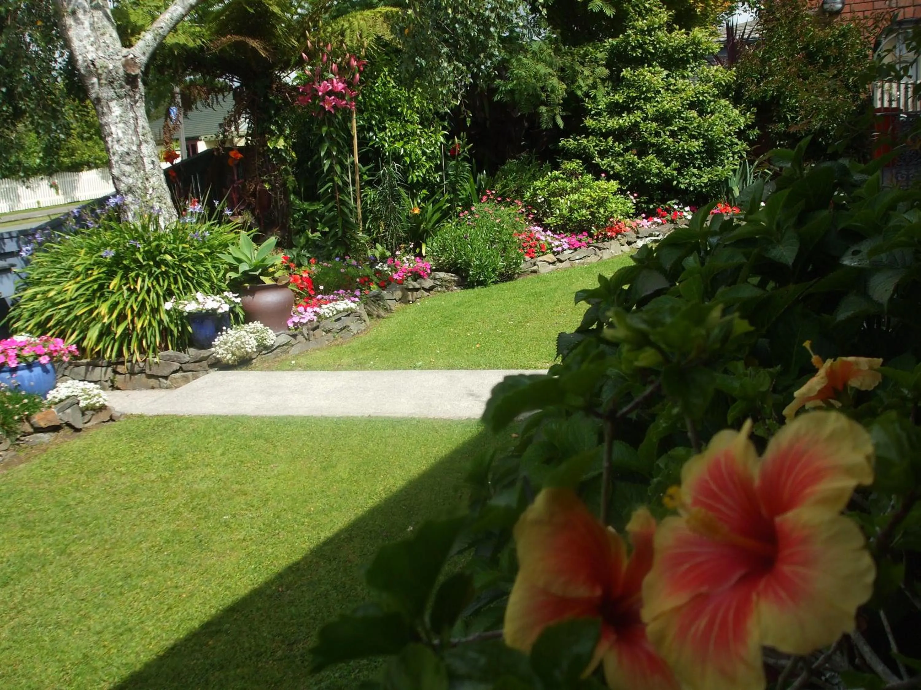 Garden in Havenlee Homestay