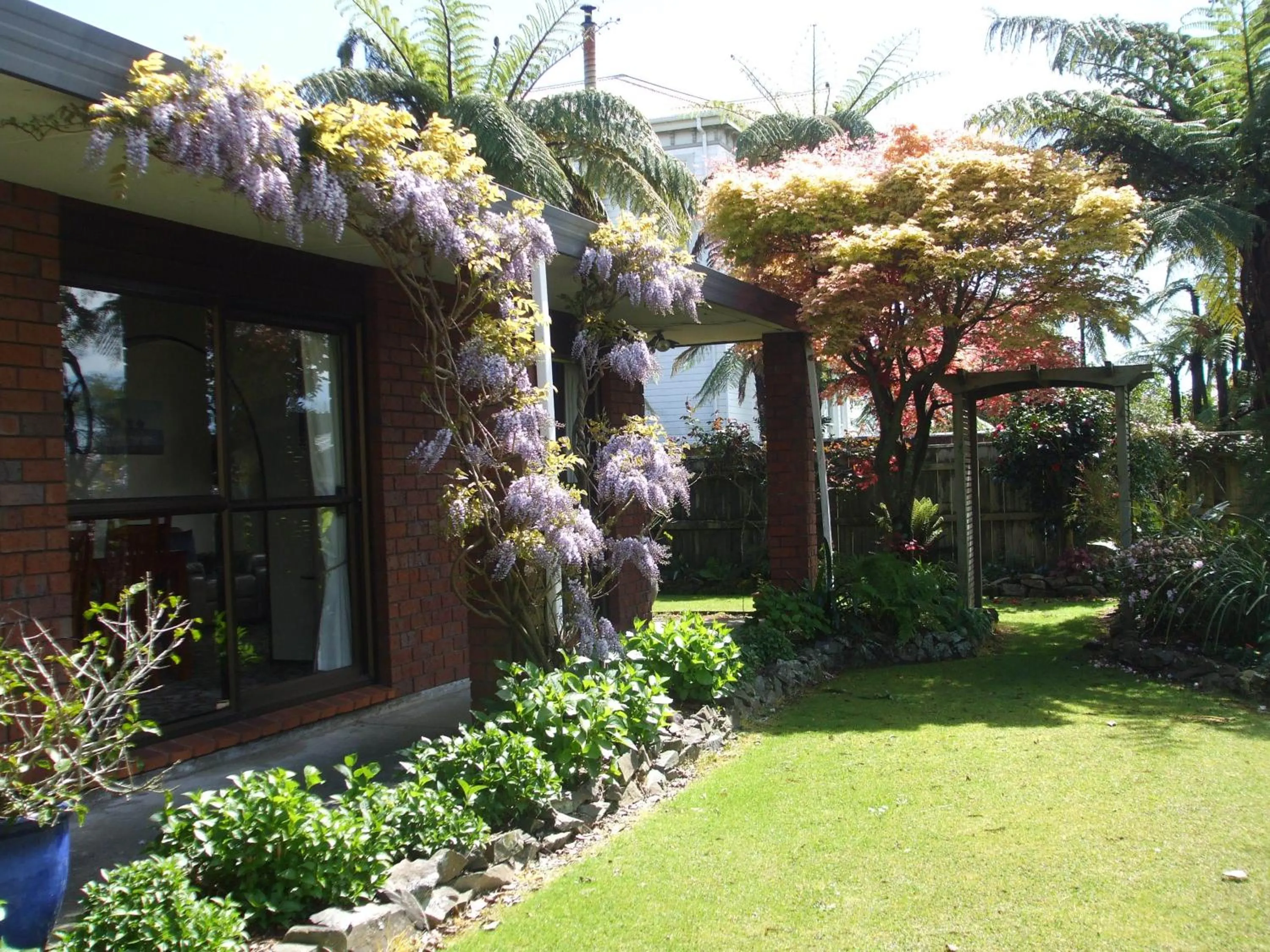 Garden in Havenlee Homestay