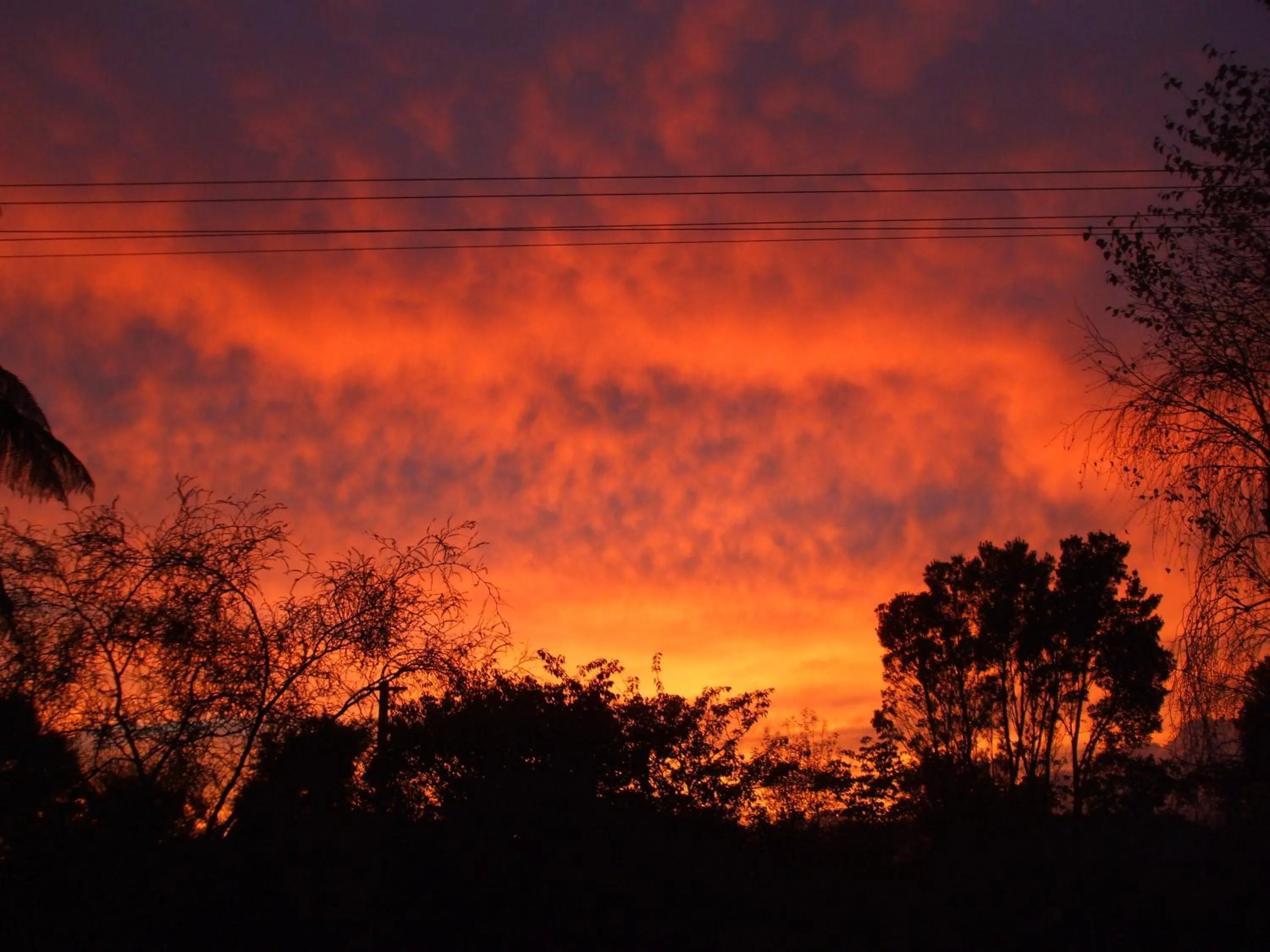 View (from property/room) in Havenlee Homestay