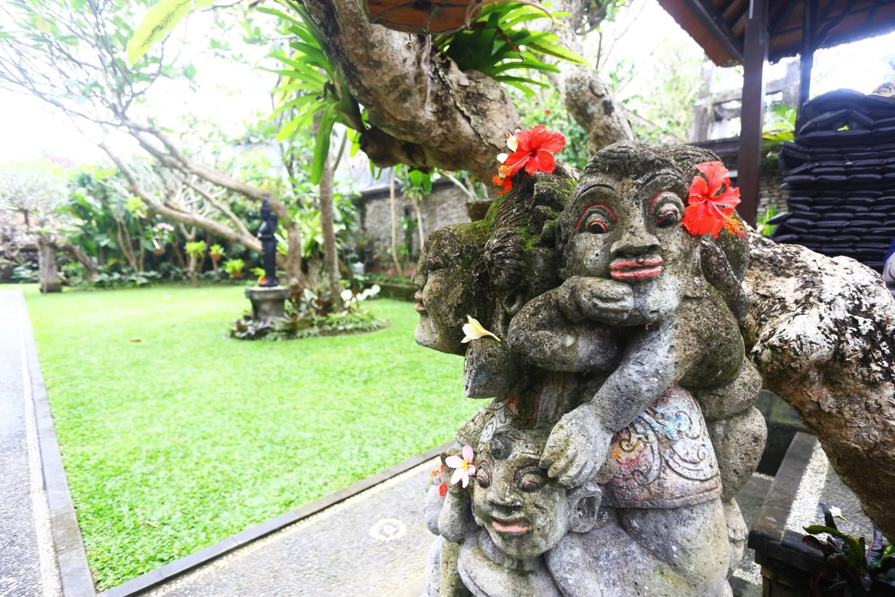 Garden in Sagitarius Inn