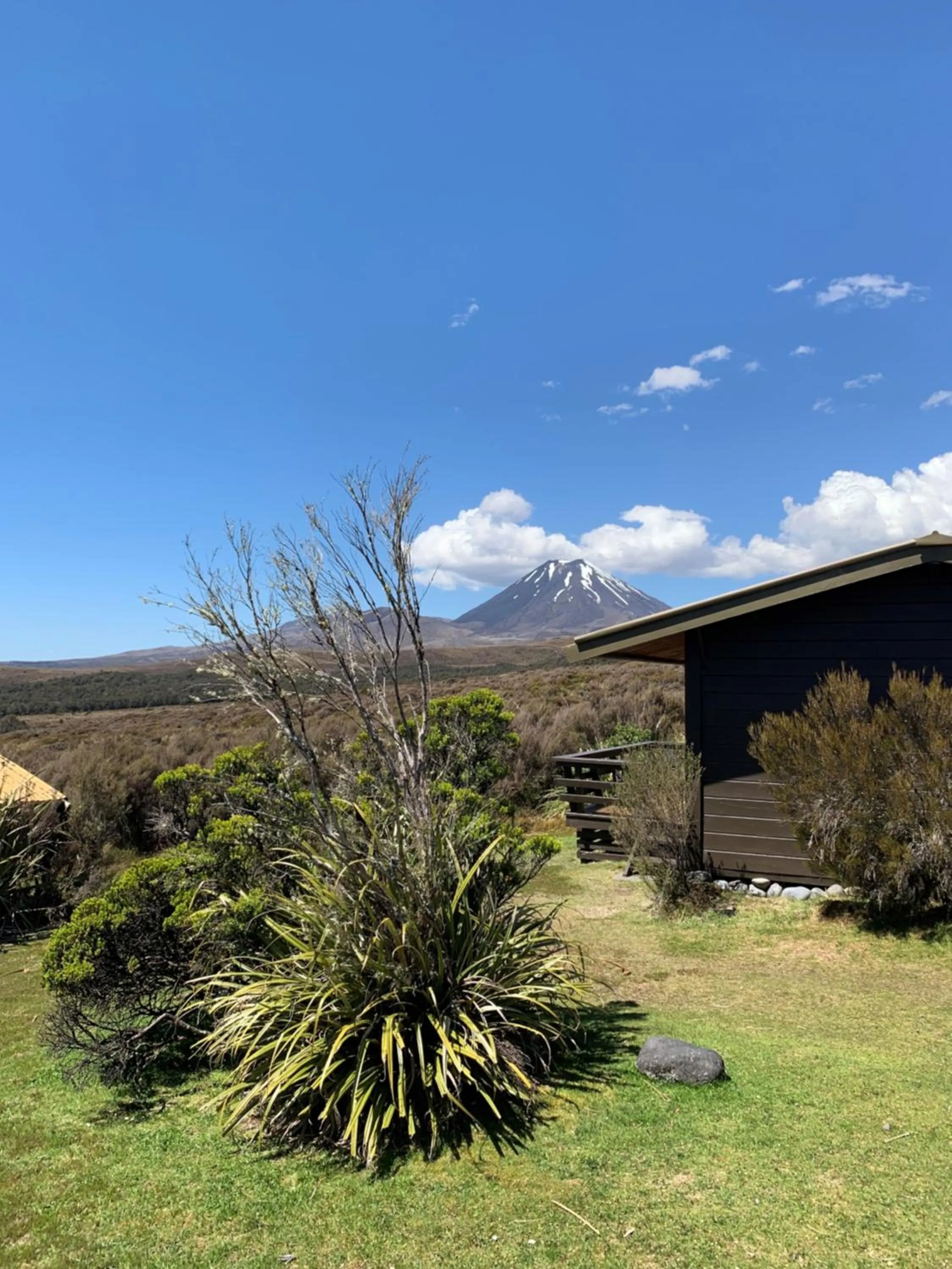 Garden in Skotel Alpine Resort