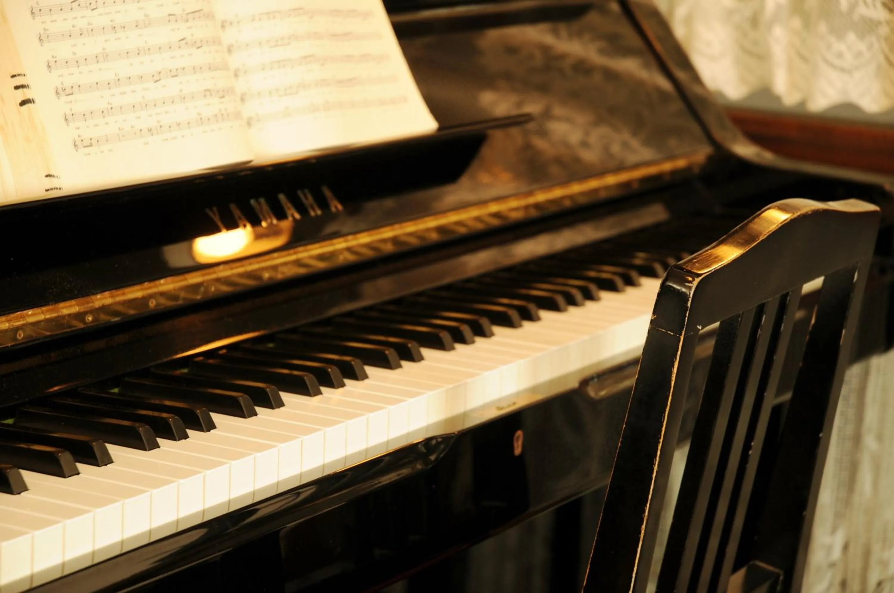 Restaurant/places to eat in Petit Hotel Kanan