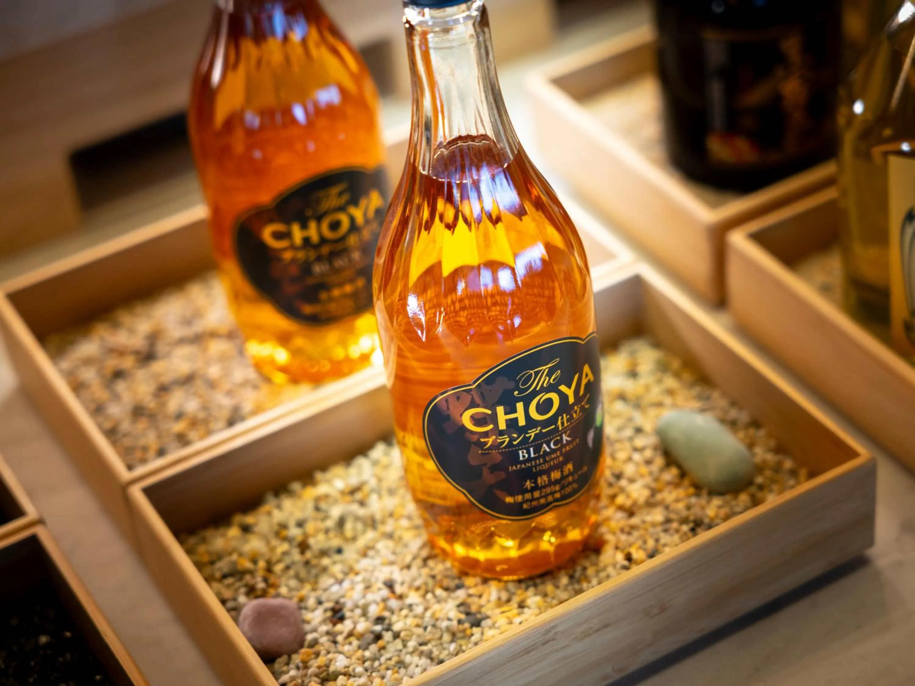 Super Hotel Premier JR Nara Eki