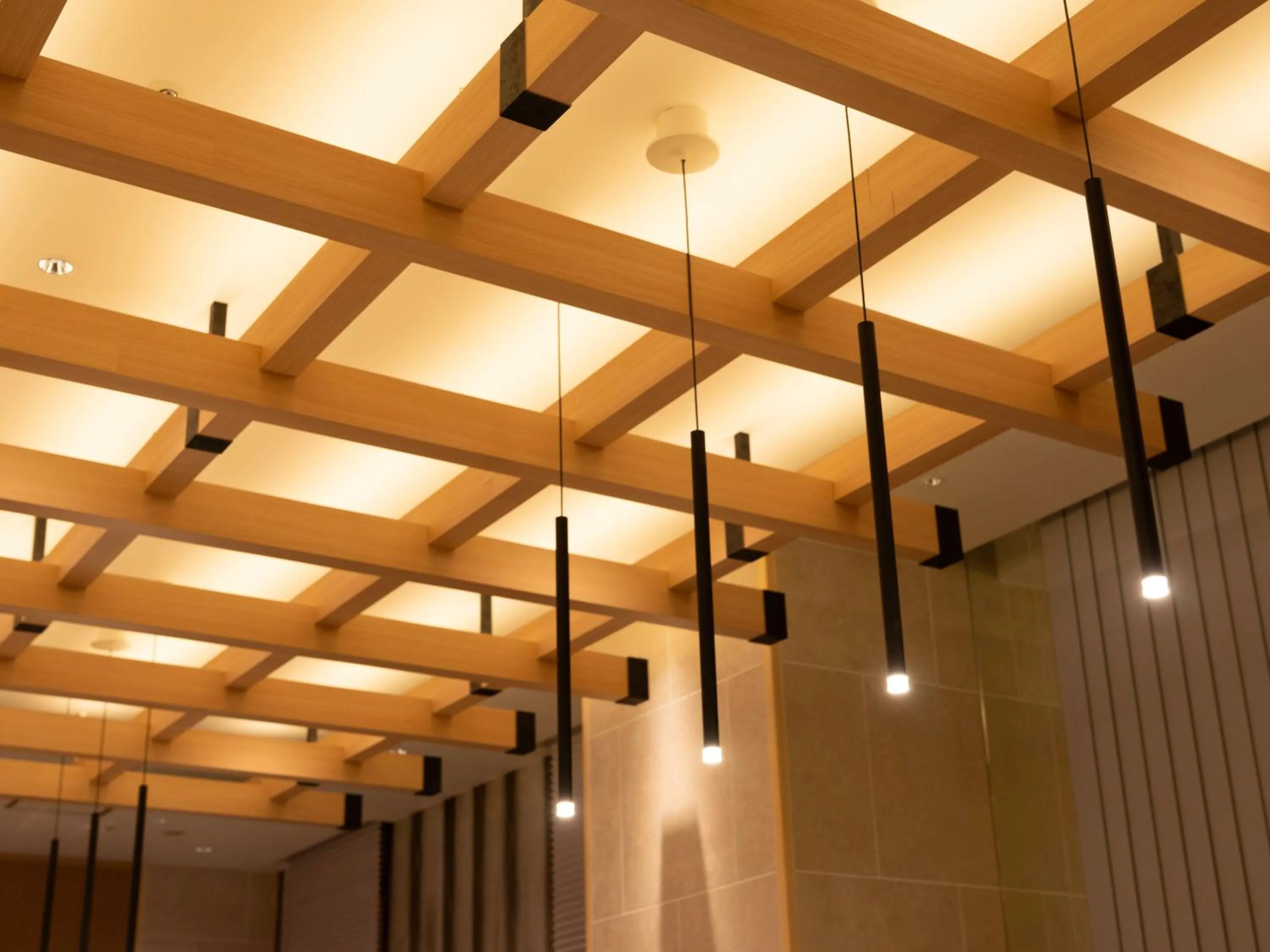 Super Hotel Premier JR Nara Eki