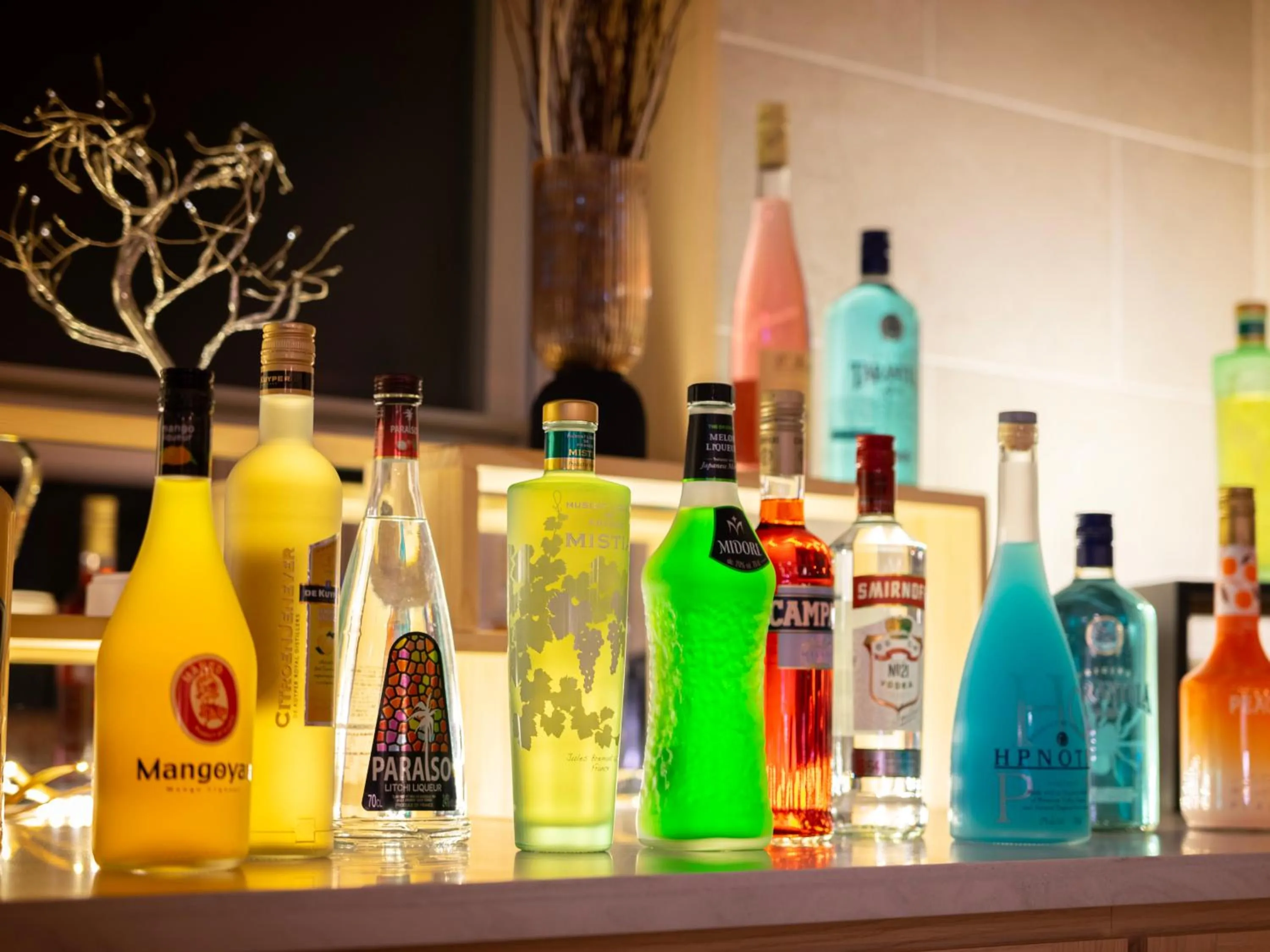 Super Hotel Premier JR Nara Eki