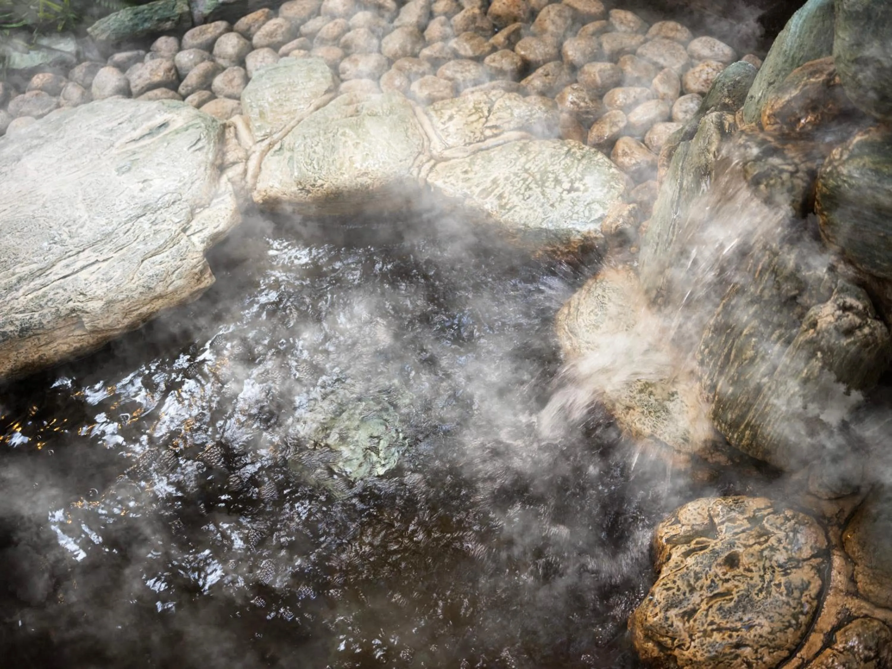 Super Hotel Premier JR Nara Eki