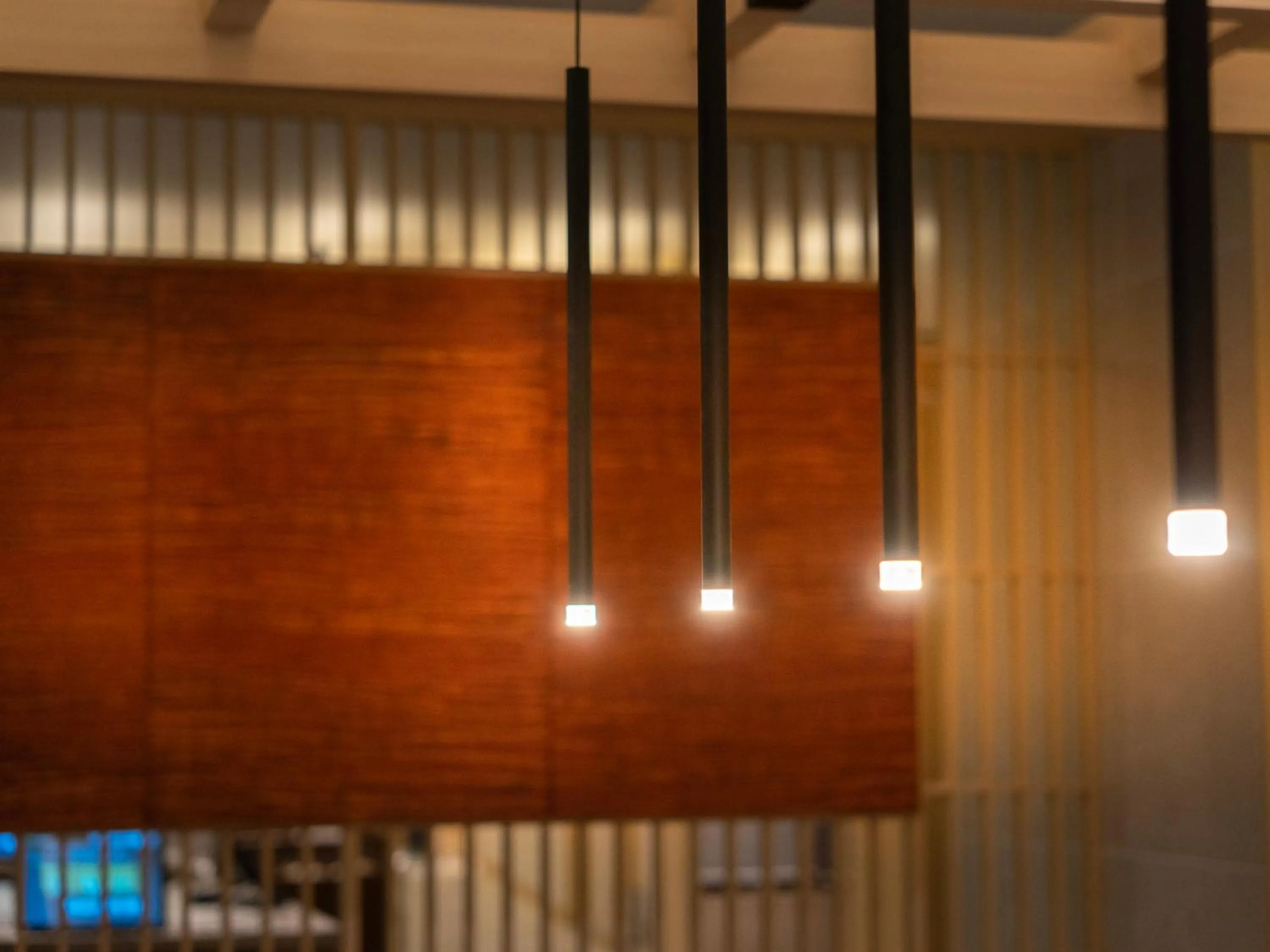 Super Hotel Premier JR Nara Eki