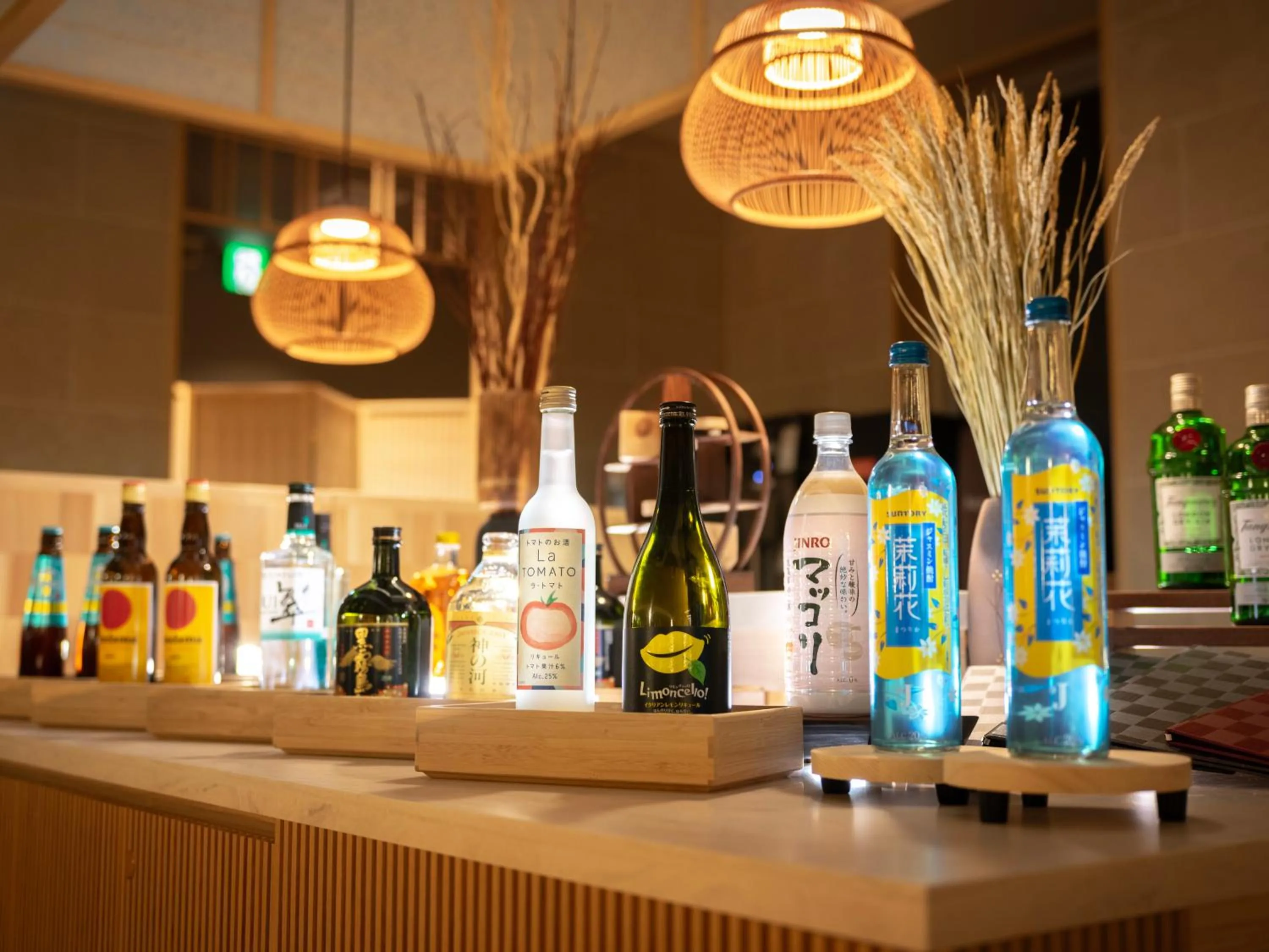 Super Hotel Premier JR Nara Eki