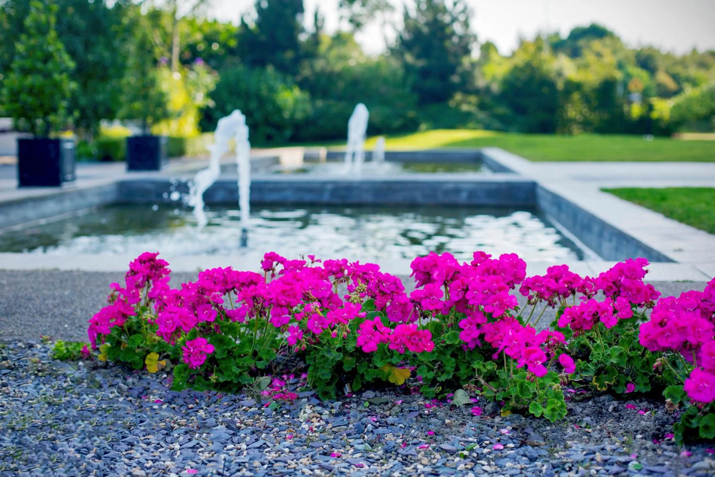 Fitness centre/facilities in The Gateway Hotel
