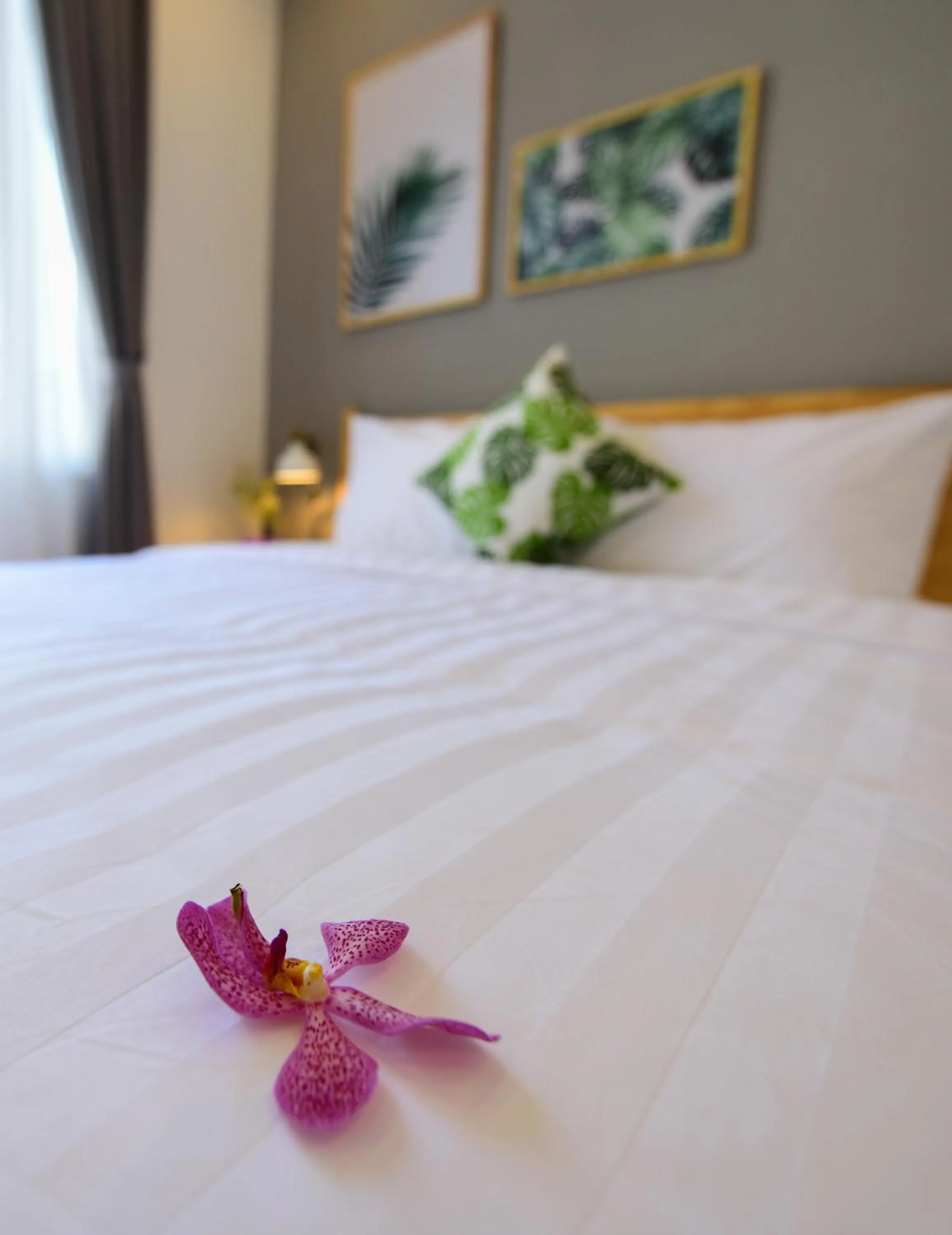 Bedroom, Bed in La Paix Hue