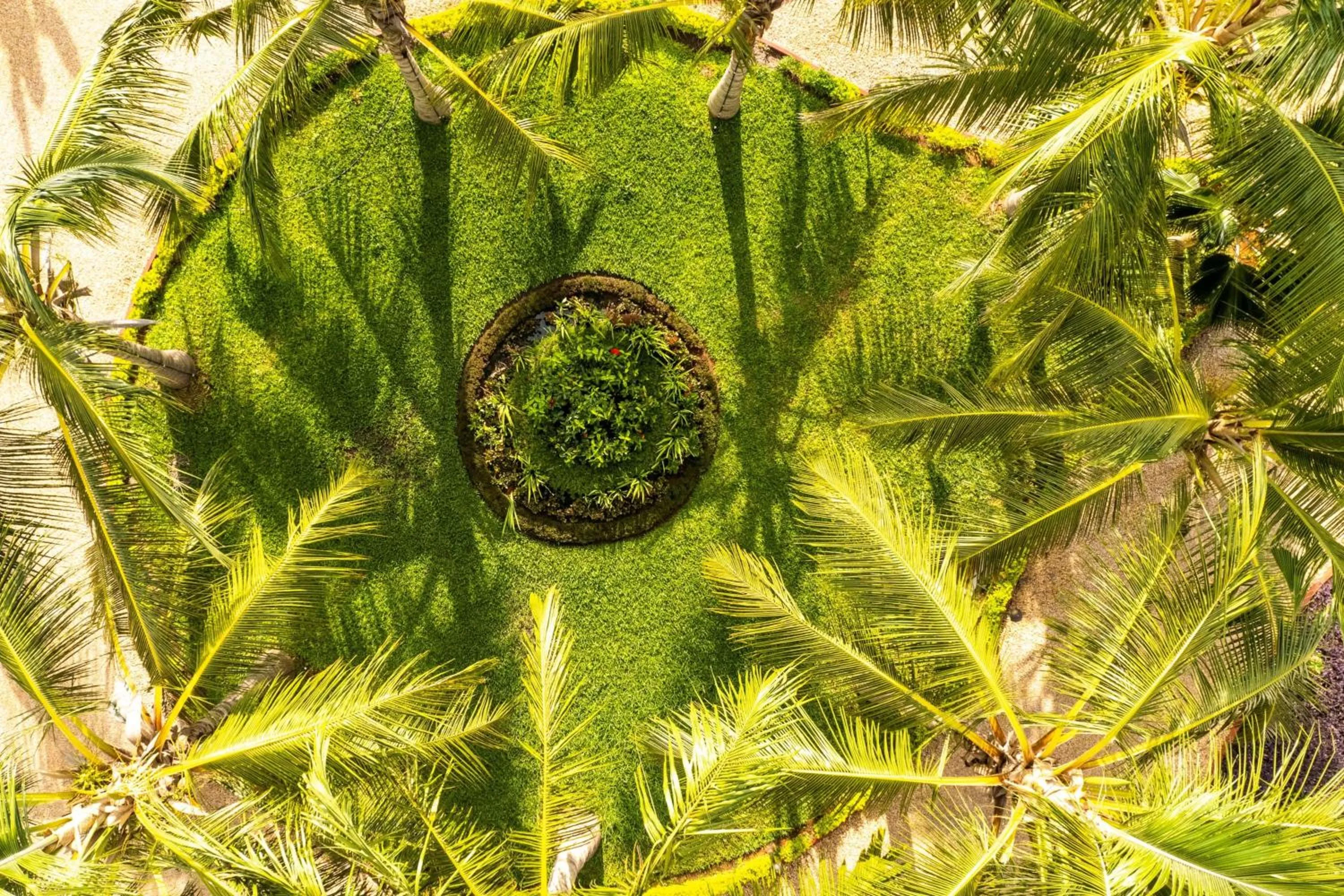 Other in Turaco Nungwi Resort, a Tribute Portfolio Hotel