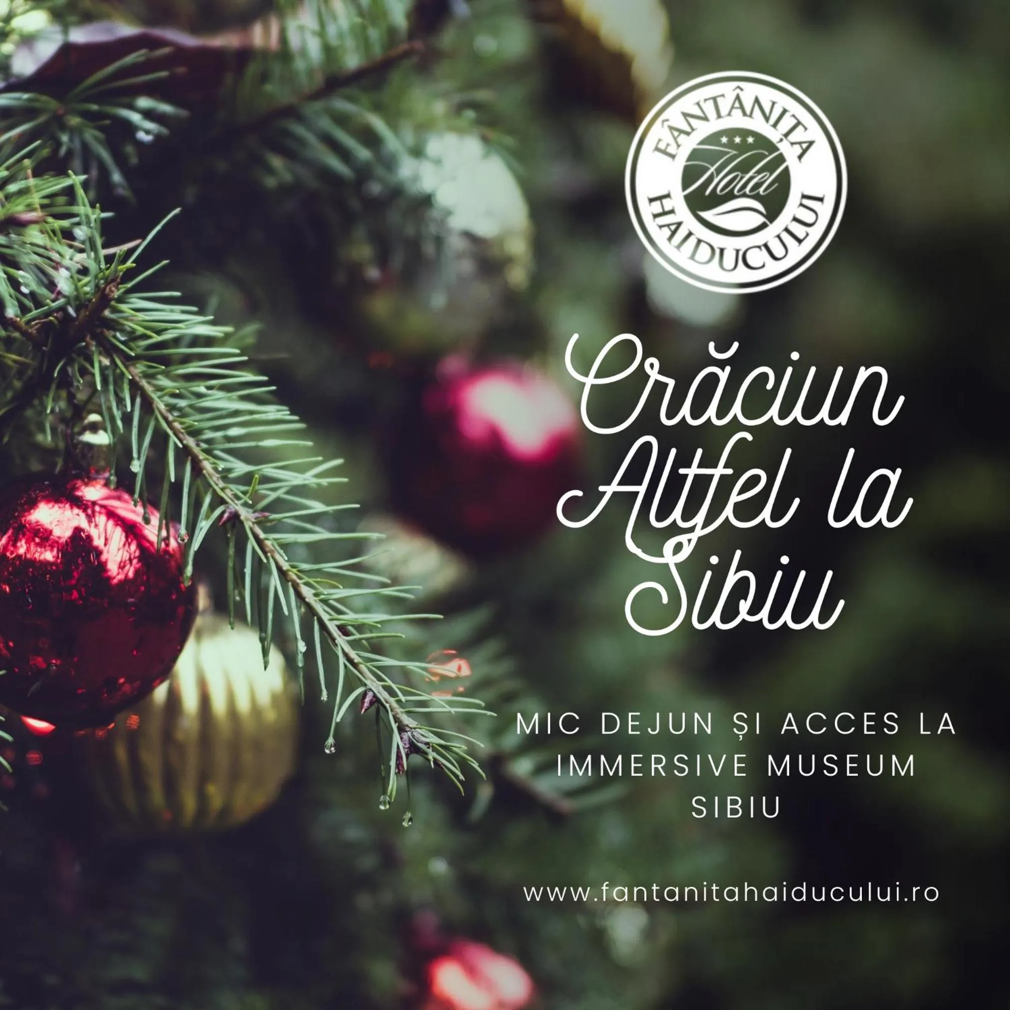 Other in Hotel Fantanita Haiducului