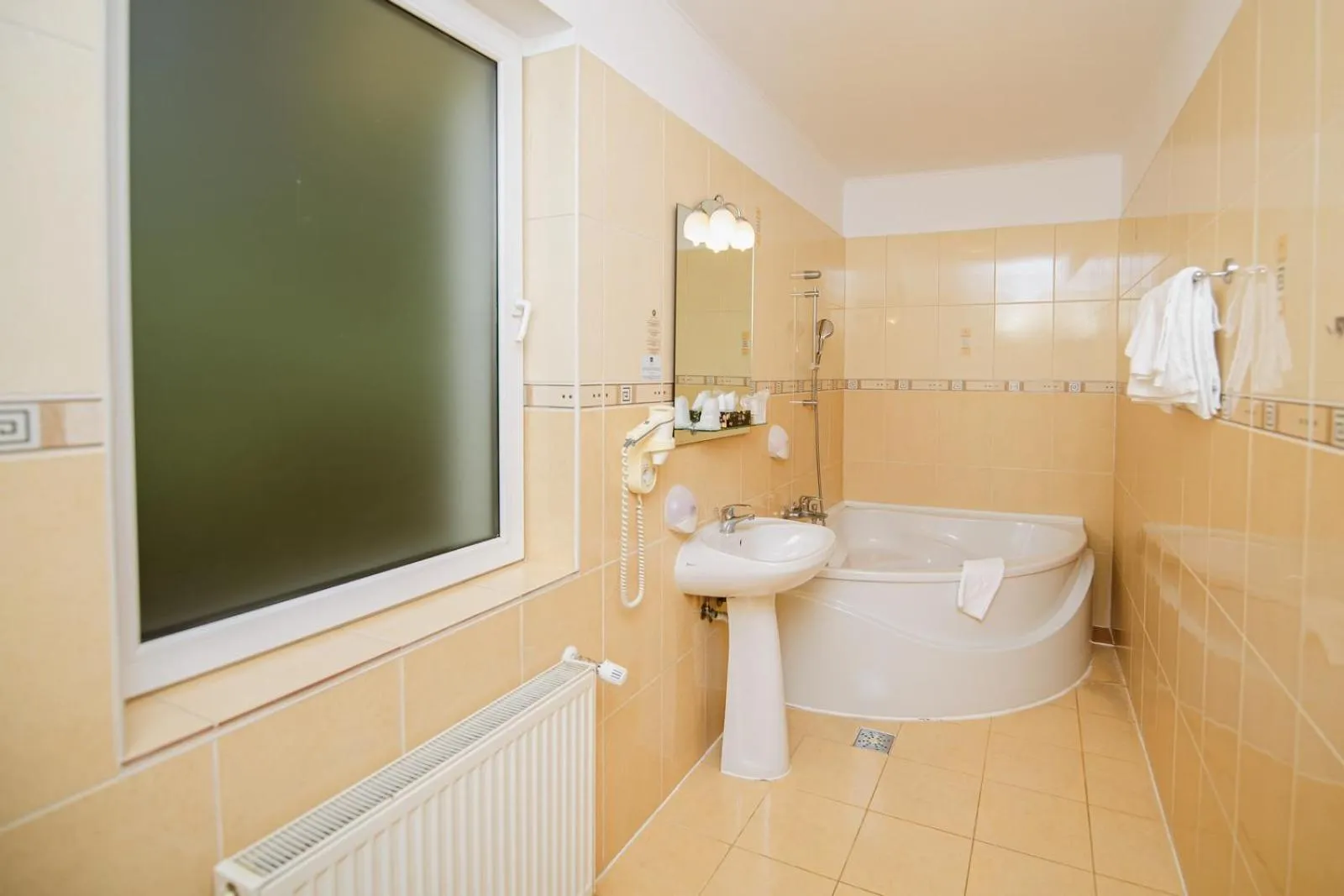 Bathroom in Hotel Fantanita Haiducului