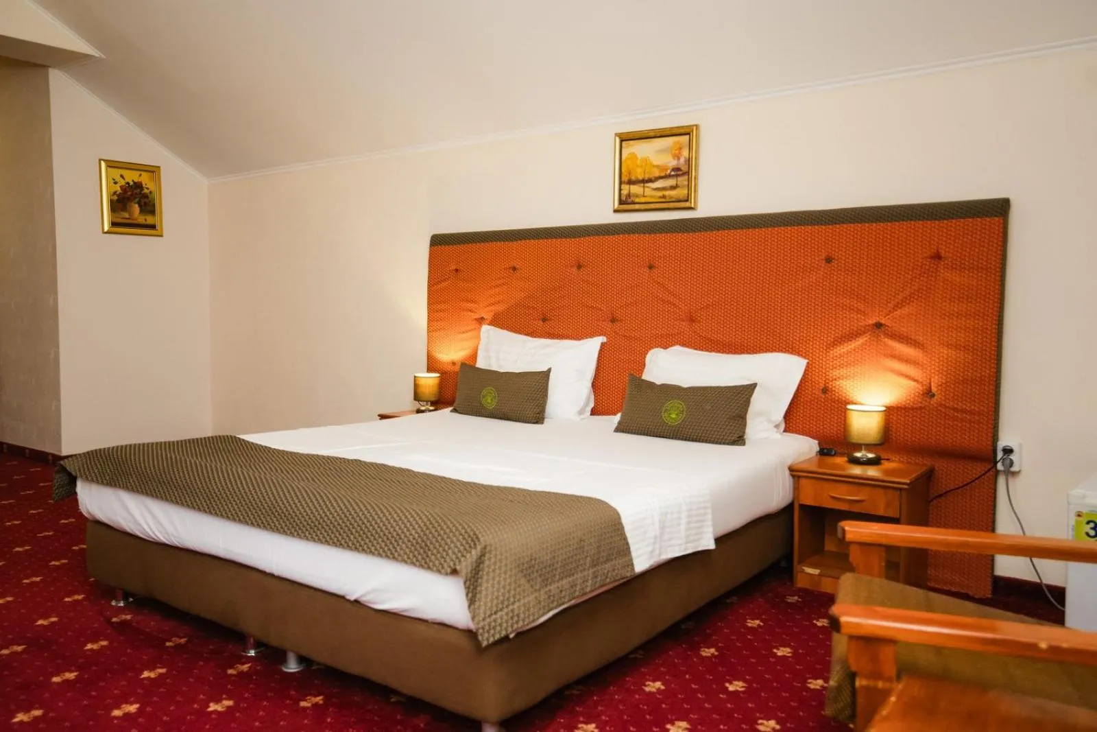 Photo of the whole room in Hotel Fantanita Haiducului